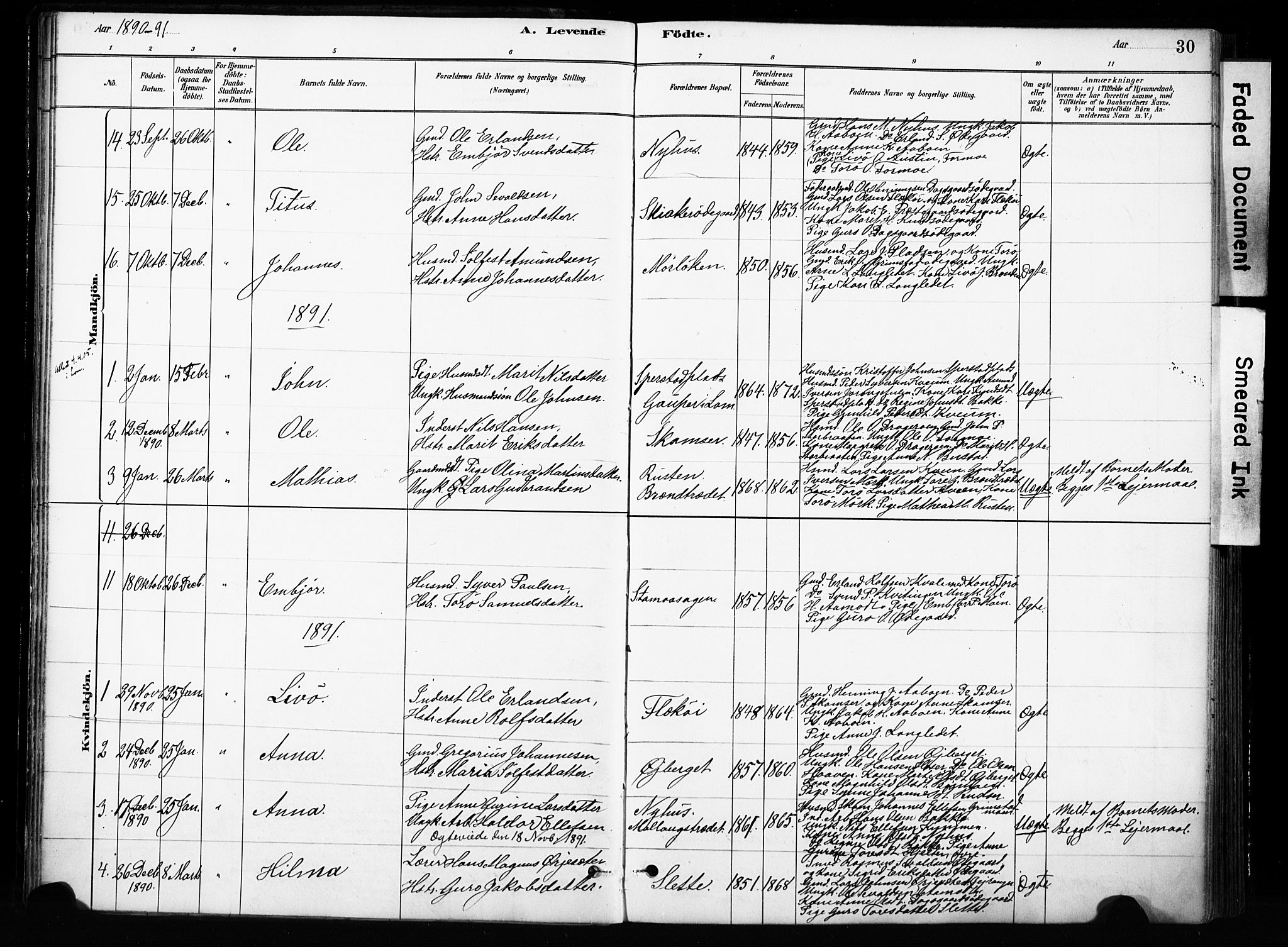Skjåk prestekontor, SAH/PREST-072/H/Ha/Haa/L0004: Parish register (official) no. 4, 1880-1904, p. 30