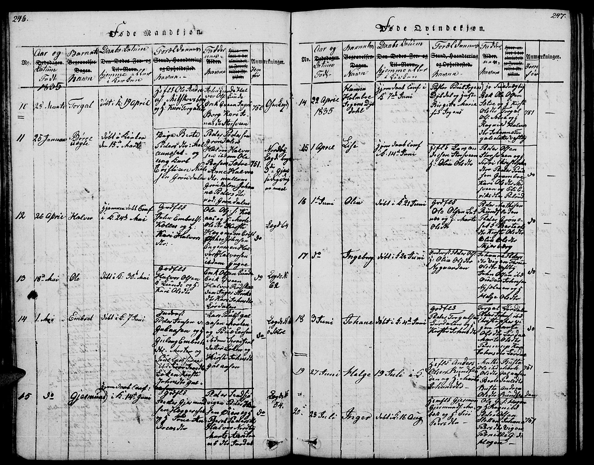 Trysil prestekontor, AV/SAH-PREST-046/H/Ha/Hab/L0004: Parish register (copy) no. 4, 1814-1841, p. 246-247