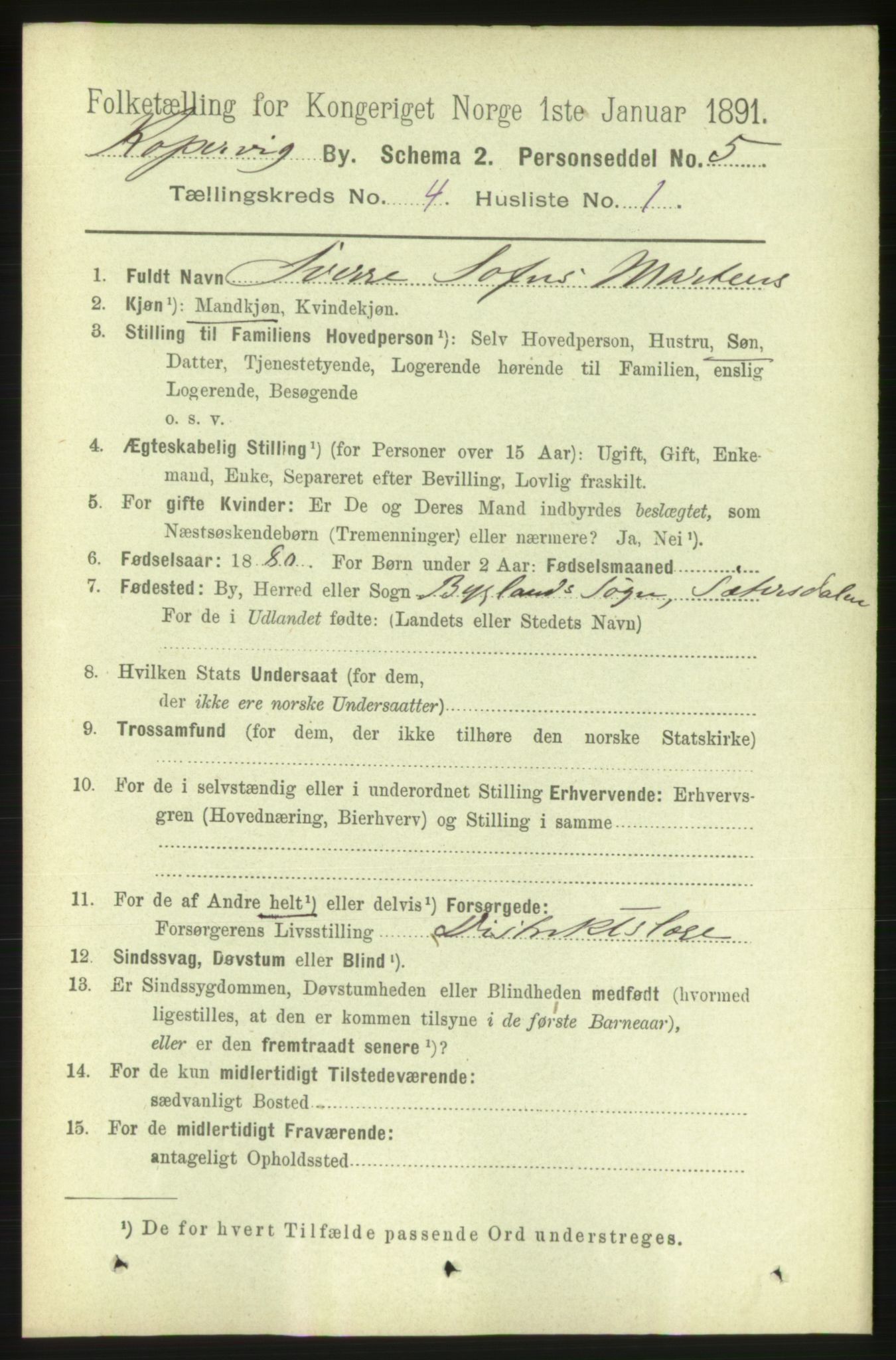 RA, 1891 census for 1105 Kopervik, 1891, p. 381