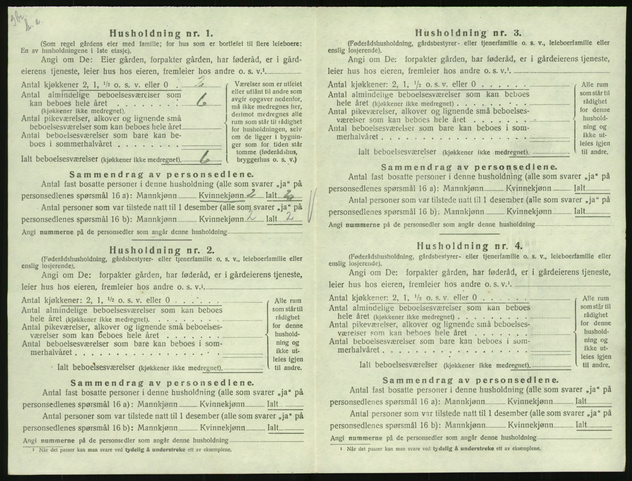 SAK, 1920 census for Hornnes, 1920, p. 410