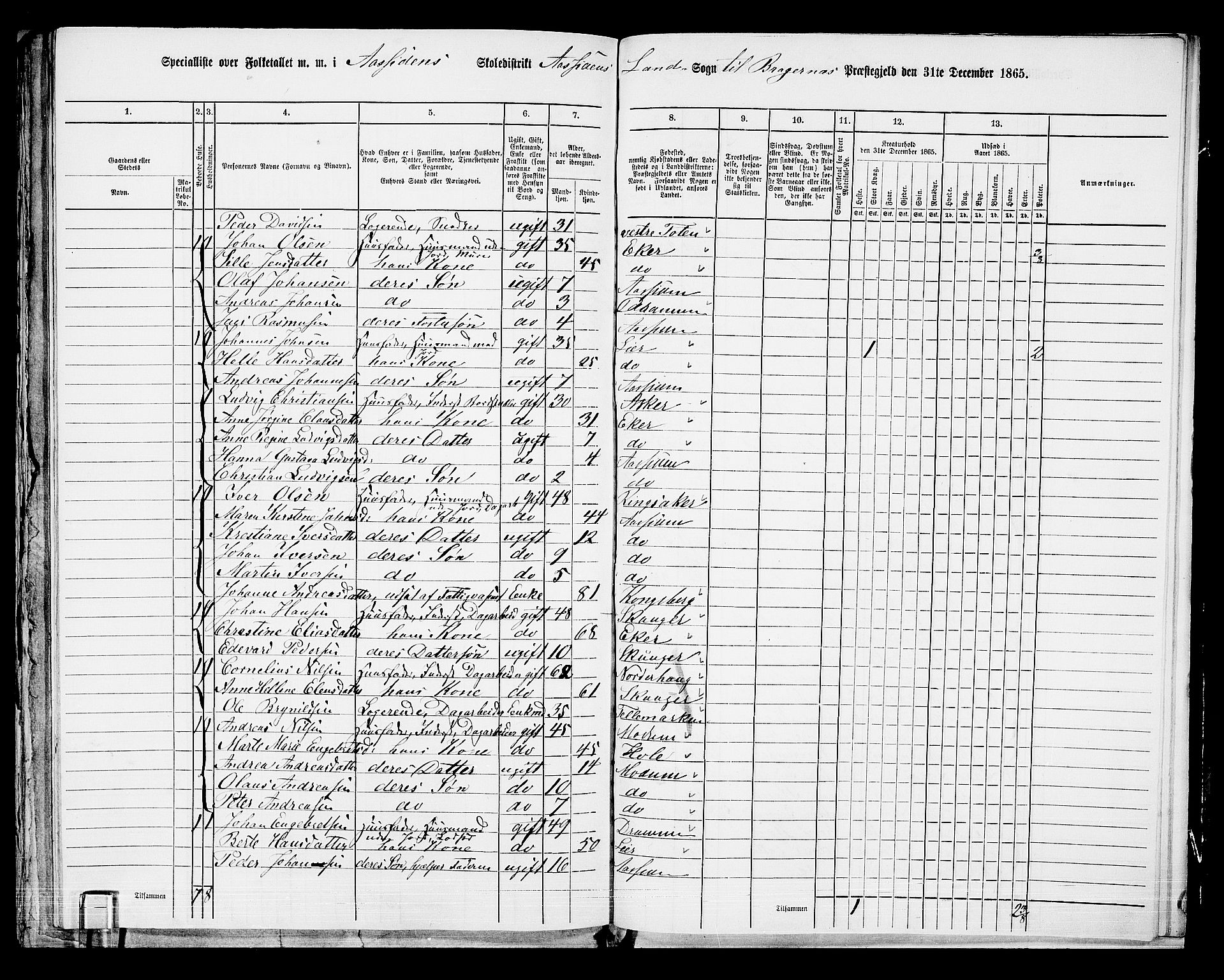 RA, 1865 census for Bragernes/Åssiden, 1865, p. 25