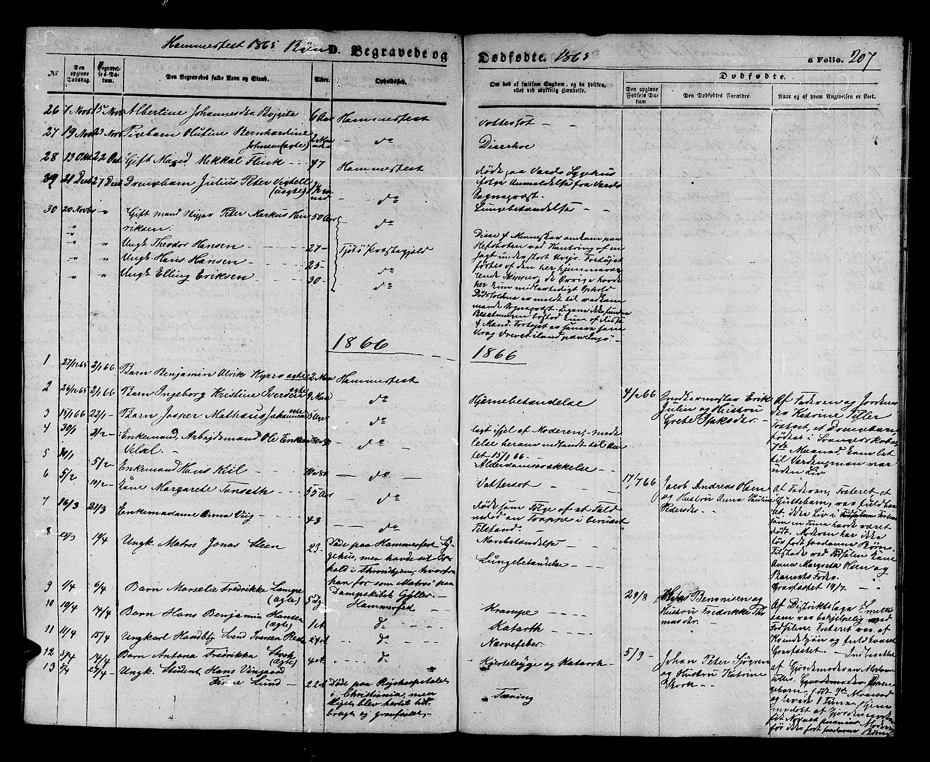 Hammerfest sokneprestkontor, AV/SATØ-S-1347/H/Hb/L0003.klokk: Parish register (copy) no. 3 /1, 1862-1868, p. 207