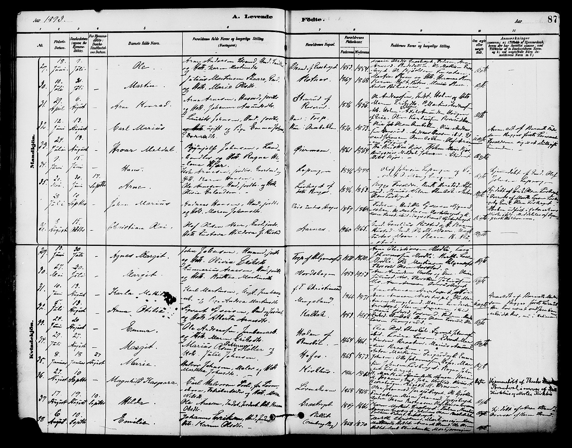 Brandval prestekontor, SAH/PREST-034/H/Ha/Haa/L0002: Parish register (official) no. 2, 1880-1894, p. 87