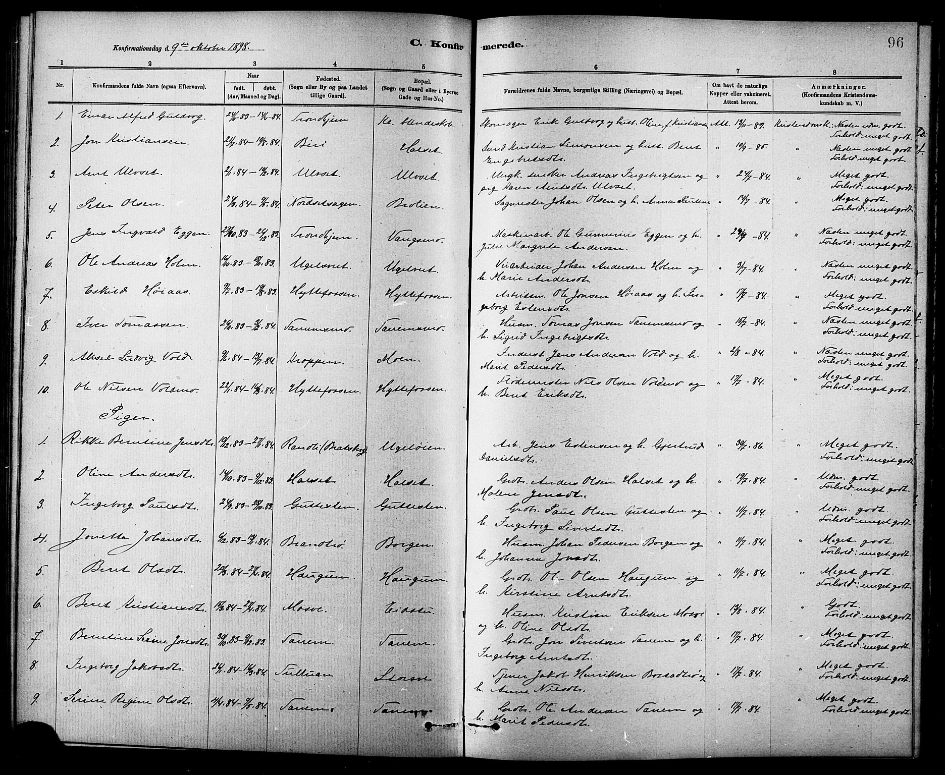 Ministerialprotokoller, klokkerbøker og fødselsregistre - Sør-Trøndelag, SAT/A-1456/618/L0452: Parish register (copy) no. 618C03, 1884-1906, p. 96