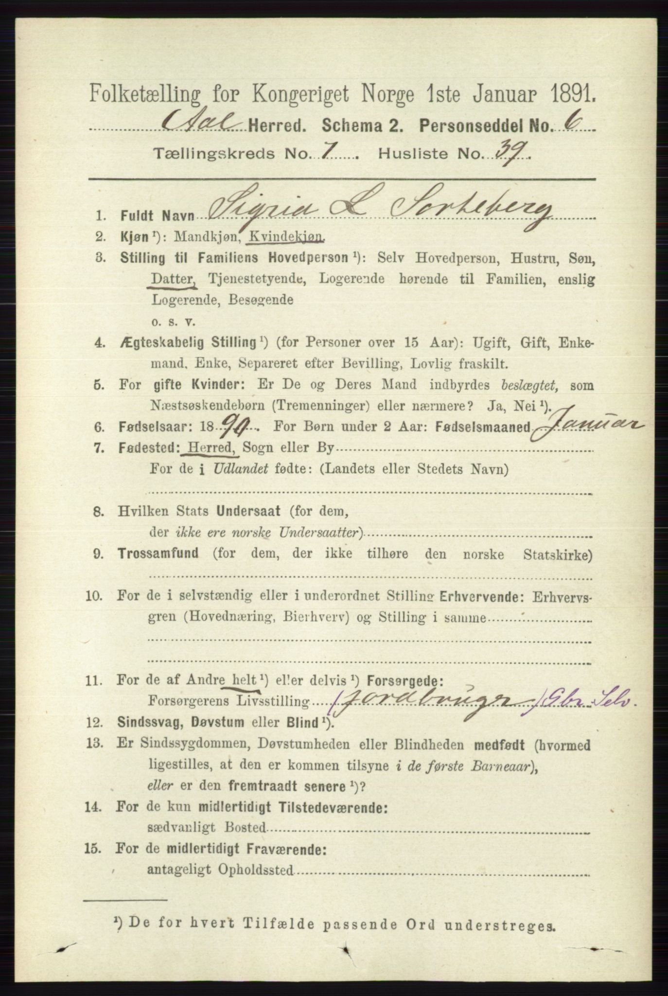 RA, 1891 census for 0619 Ål, 1891, p. 2001