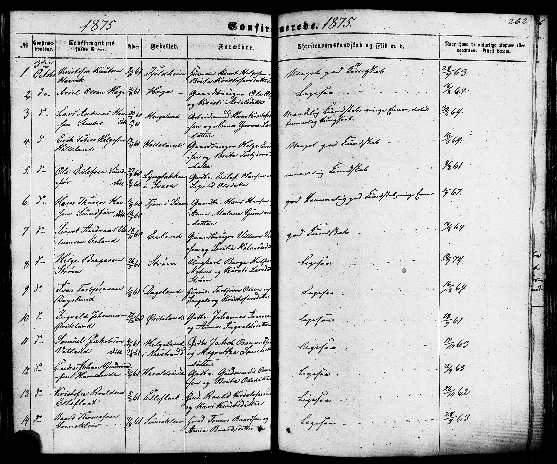 Skjold sokneprestkontor, SAST/A-101847/H/Ha/Haa/L0008: Parish register (official) no. A 8, 1856-1882, p. 262