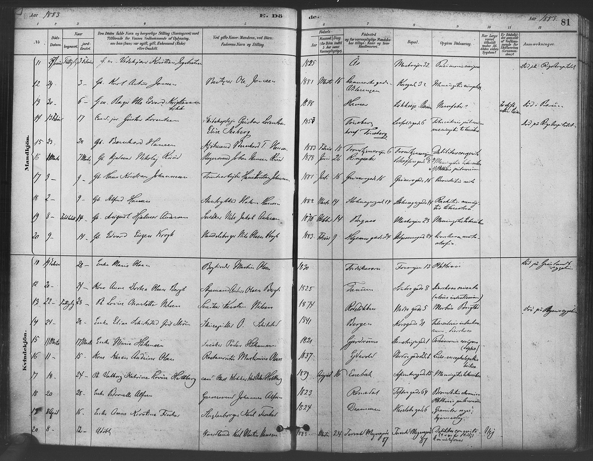 Paulus prestekontor Kirkebøker, AV/SAO-A-10871/F/Fa/L0005: Parish register (official) no. 5, 1879-1889, p. 81