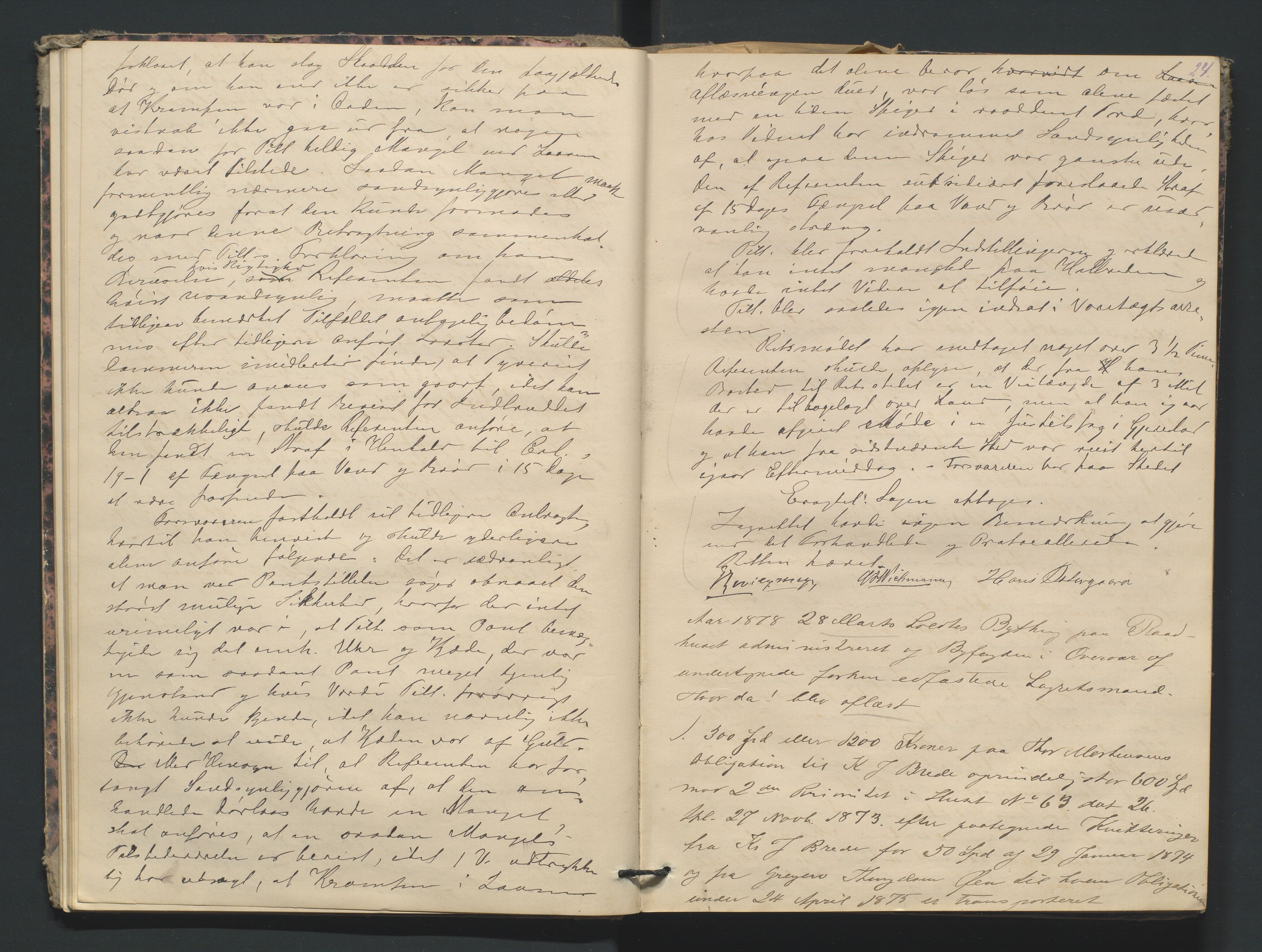 Risør byfogd, AV/SAK-1222-0005/F/Fa/L0004: Justisprotokoll nr. 4, 1877-1880, p. 23b-24a