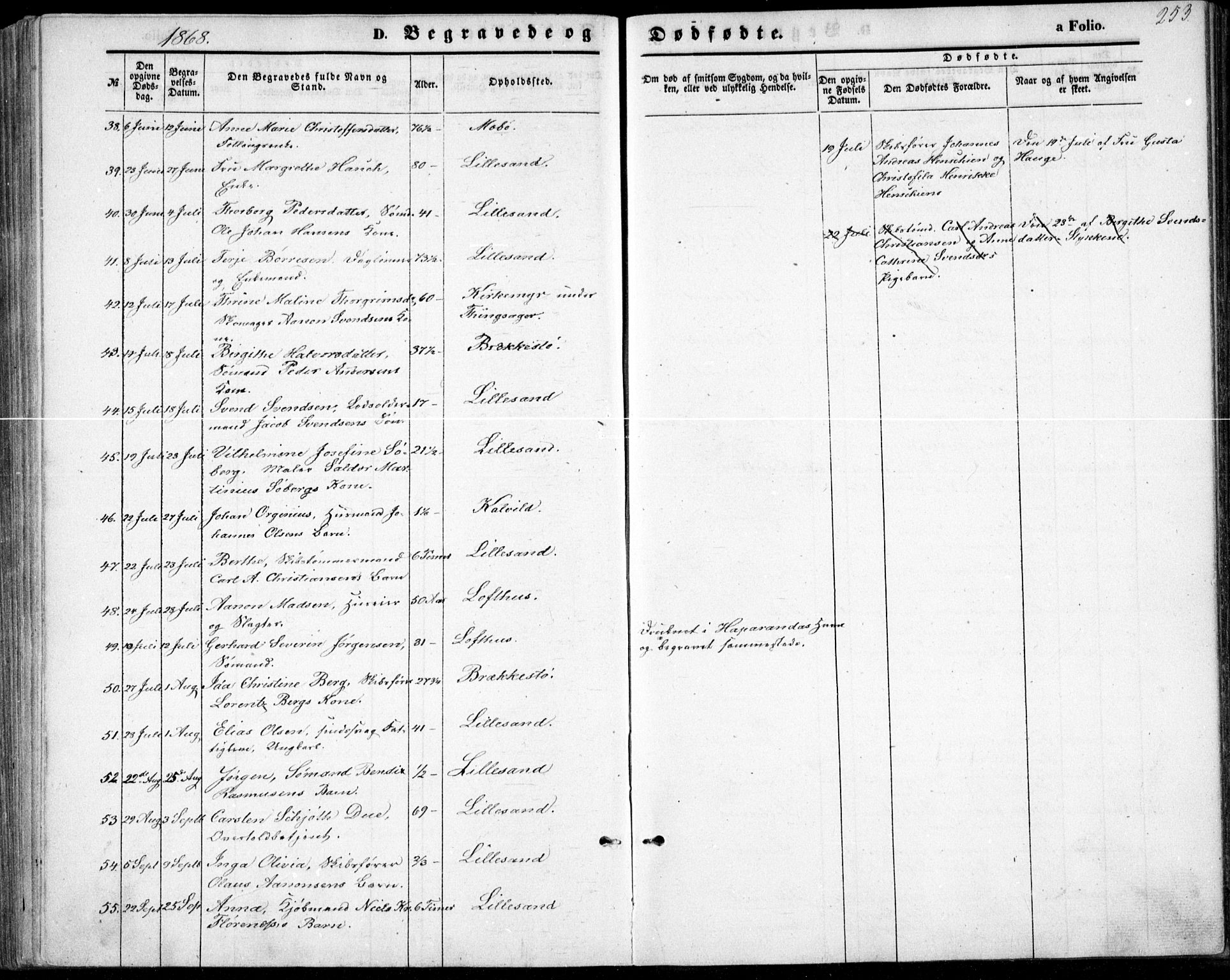 Vestre Moland sokneprestkontor, AV/SAK-1111-0046/F/Fb/Fbb/L0004: Parish register (copy) no. B 4, 1861-1872, p. 253