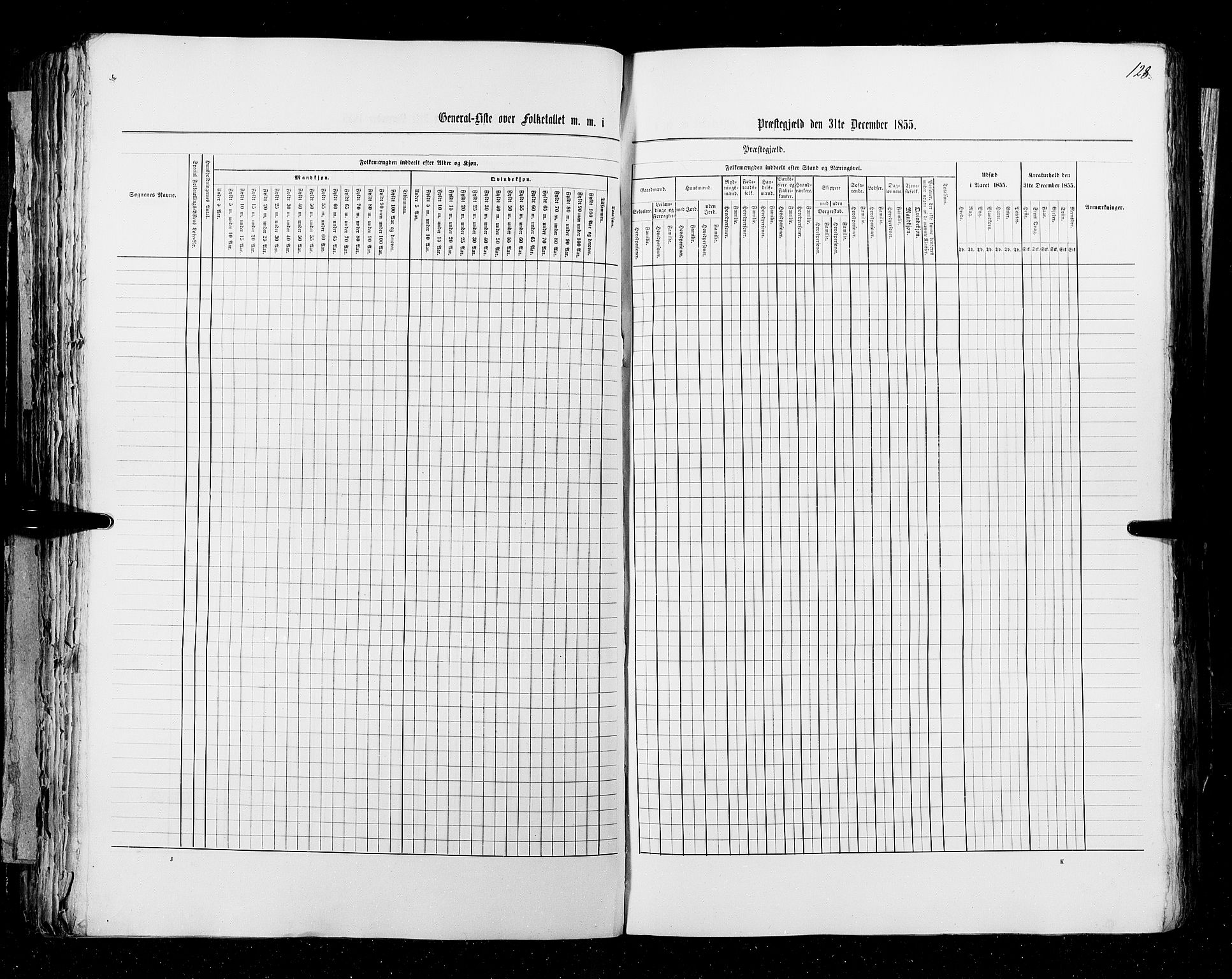 RA, Census 1855, vol. 3: Bratsberg amt, Nedenes amt og Lister og Mandal amt, 1855, p. 128