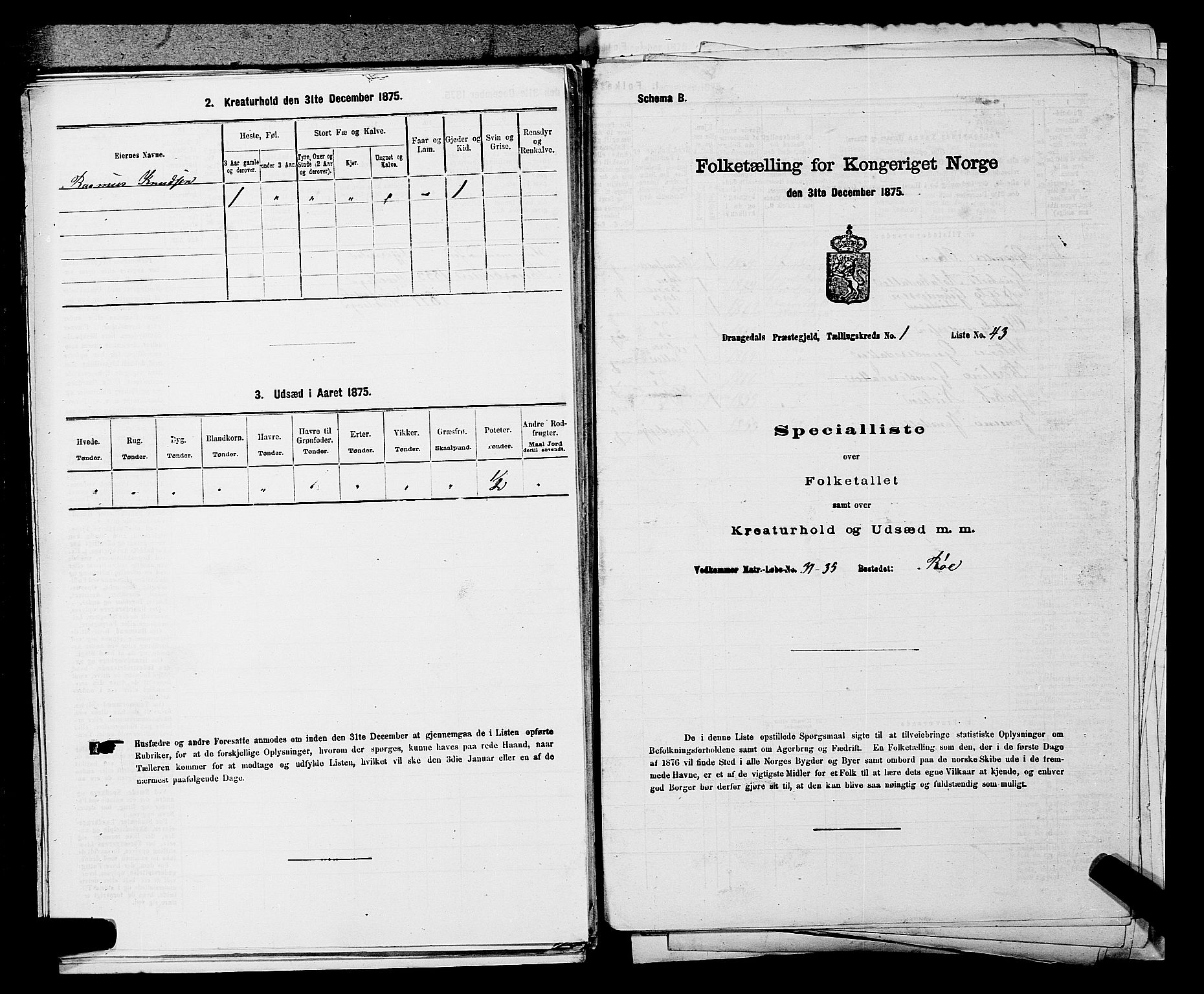 SAKO, 1875 census for 0817P Drangedal, 1875, p. 141