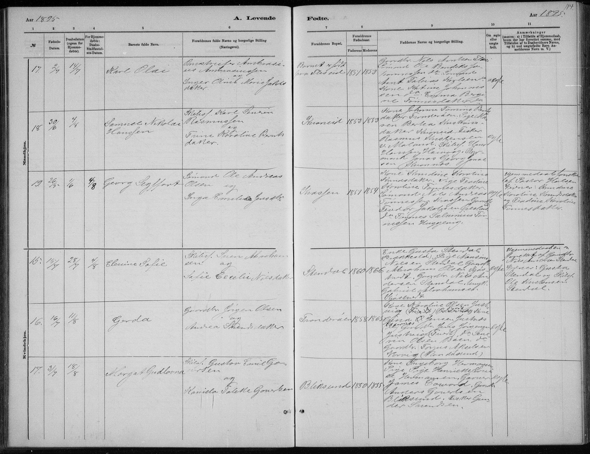 Høvåg sokneprestkontor, SAK/1111-0025/F/Fb/L0004: Parish register (copy) no. B 4, 1883-1898, p. 114