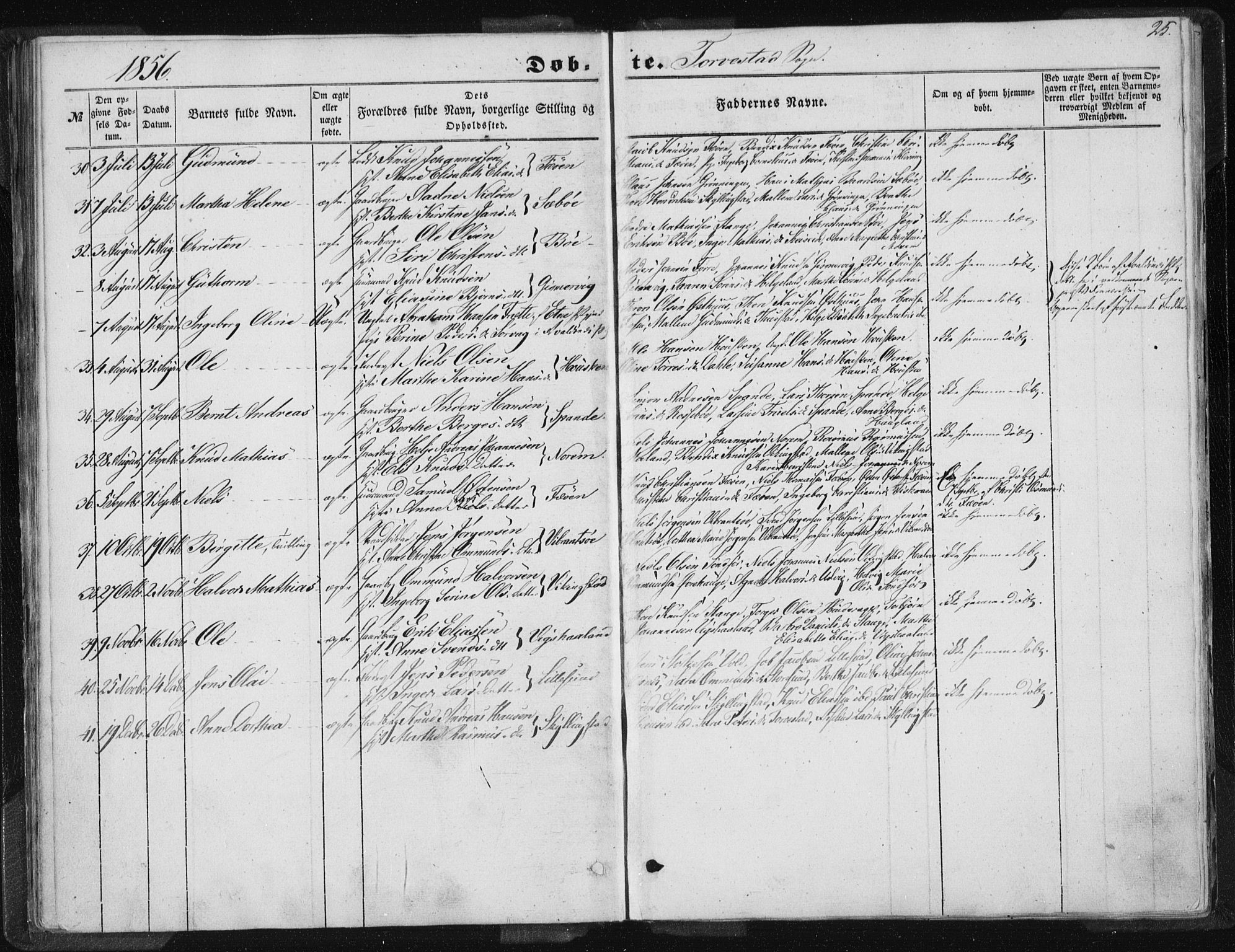 Torvastad sokneprestkontor, AV/SAST-A -101857/H/Ha/Haa/L0008: Parish register (official) no. A 8, 1847-1856, p. 25