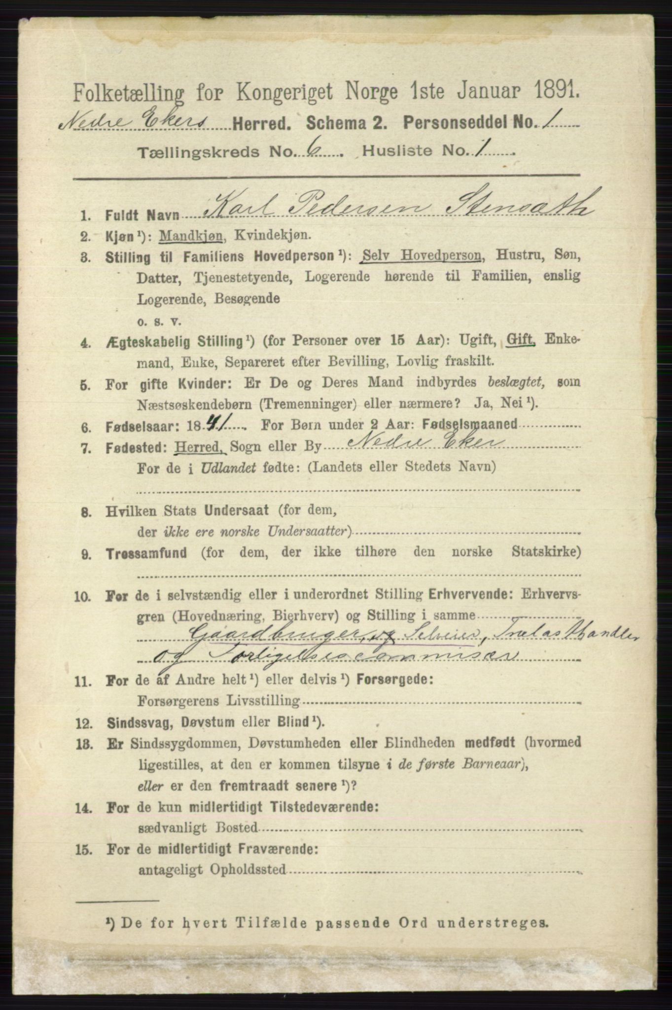 RA, 1891 census for 0625 Nedre Eiker, 1891, p. 2895