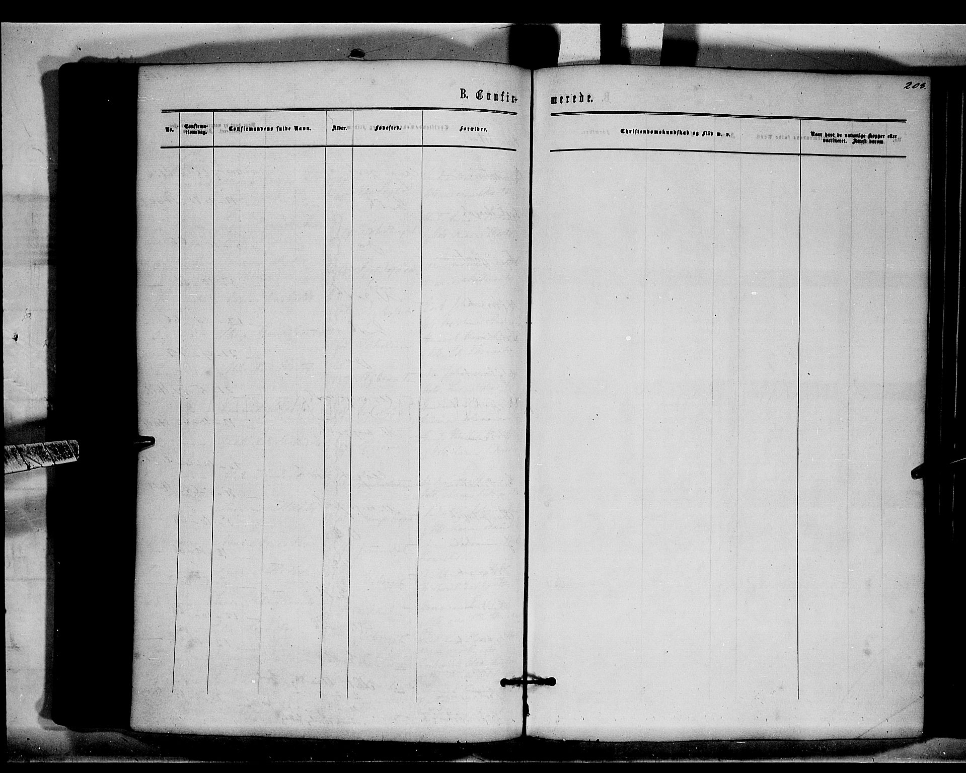 Brandval prestekontor, AV/SAH-PREST-034/H/Ha/Haa/L0001: Parish register (official) no. 1, 1864-1879, p. 203