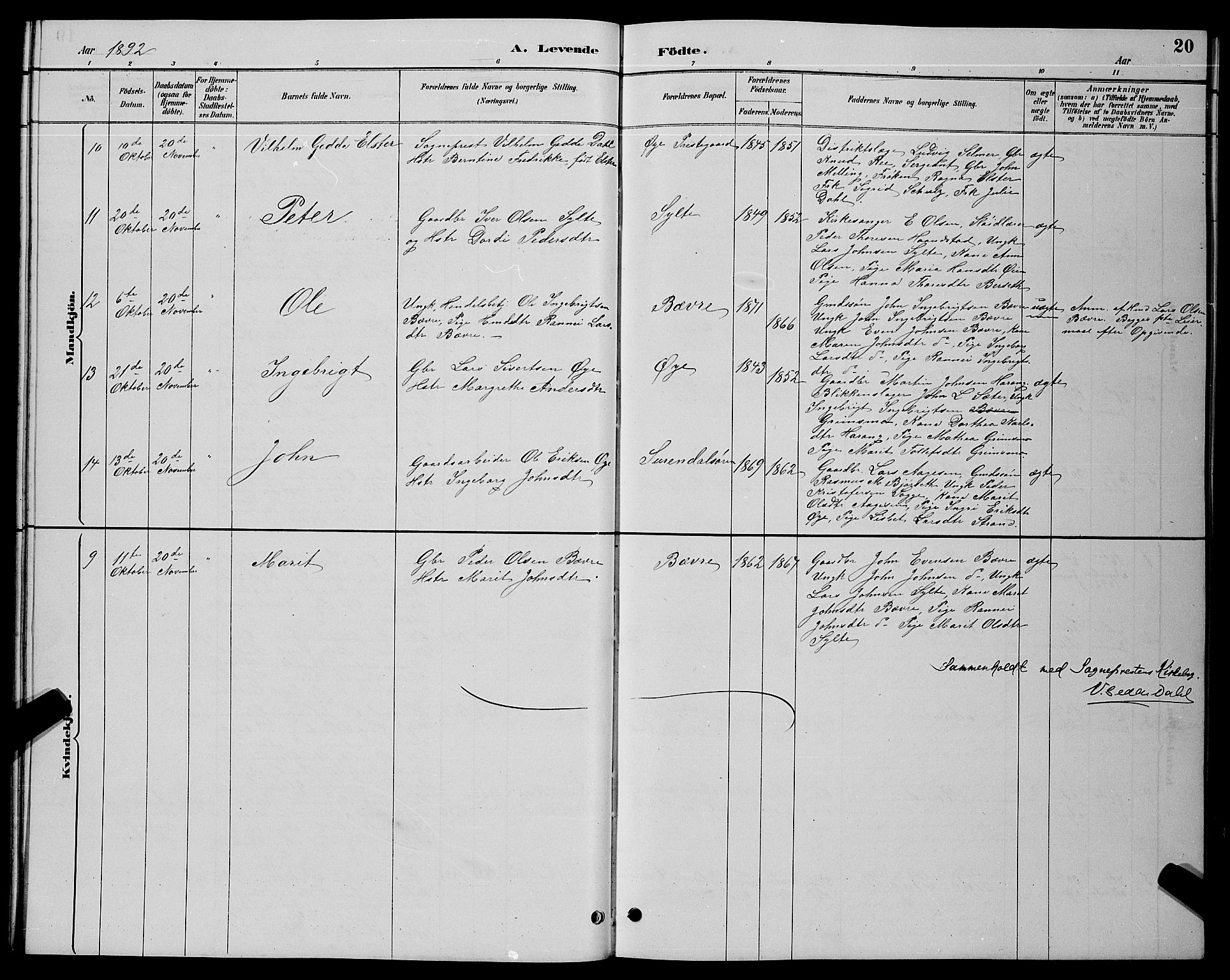 Ministerialprotokoller, klokkerbøker og fødselsregistre - Møre og Romsdal, AV/SAT-A-1454/595/L1052: Parish register (copy) no. 595C04, 1885-1900, p. 20