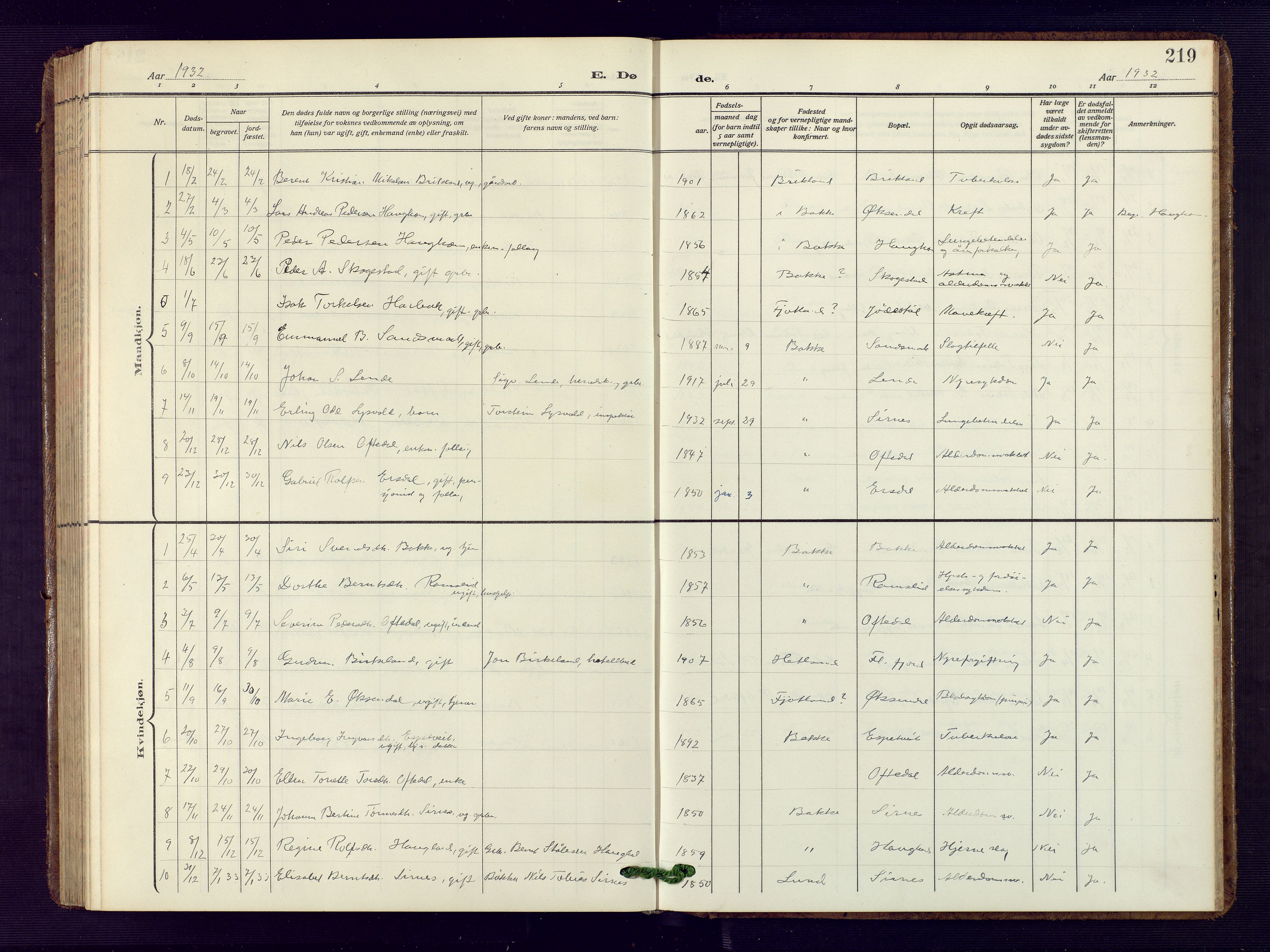 Bakke sokneprestkontor, SAK/1111-0002/F/Fb/Fba/L0004: Parish register (copy) no. B 4, 1911-1946, p. 219