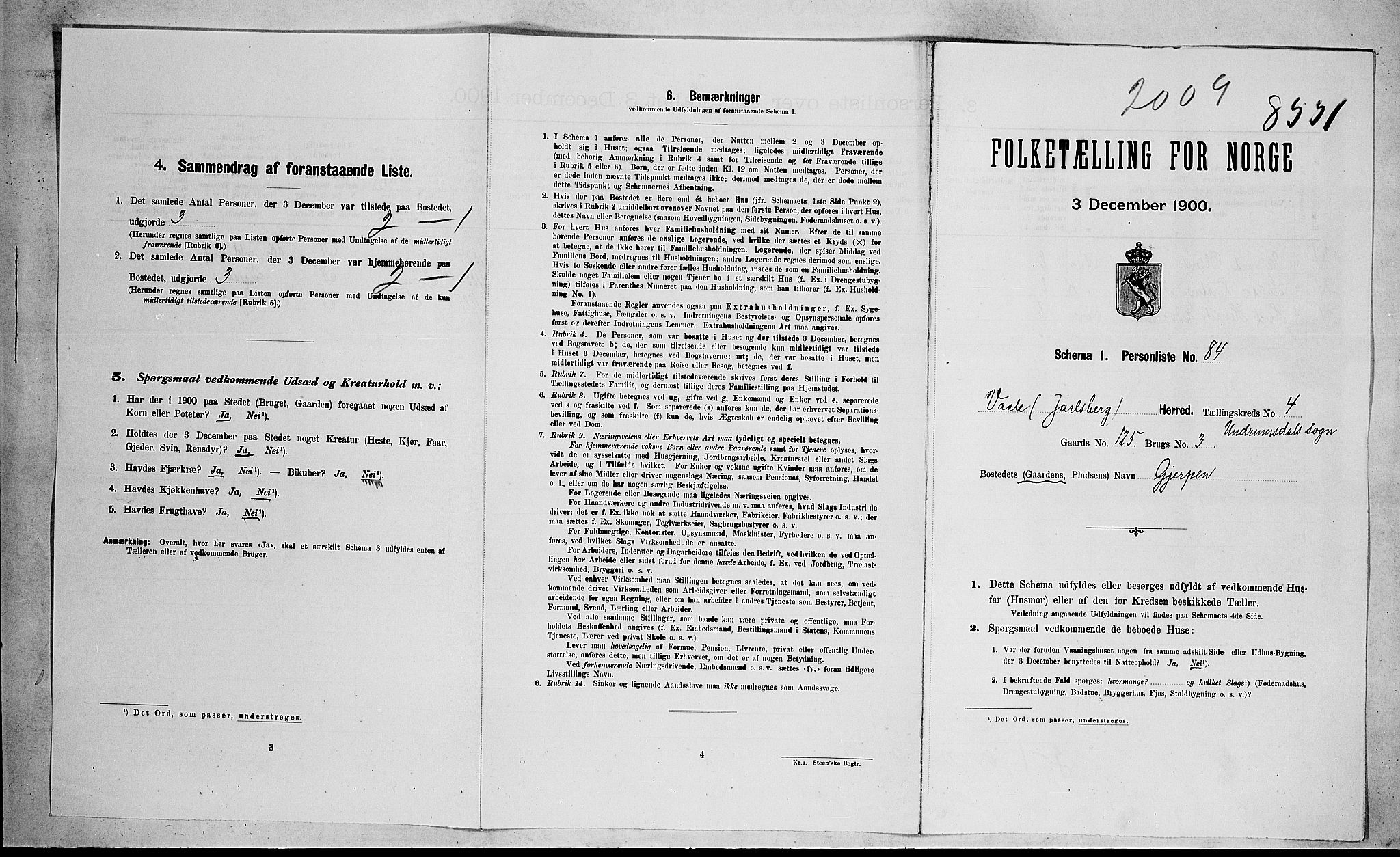 RA, 1900 census for Våle, 1900, p. 50