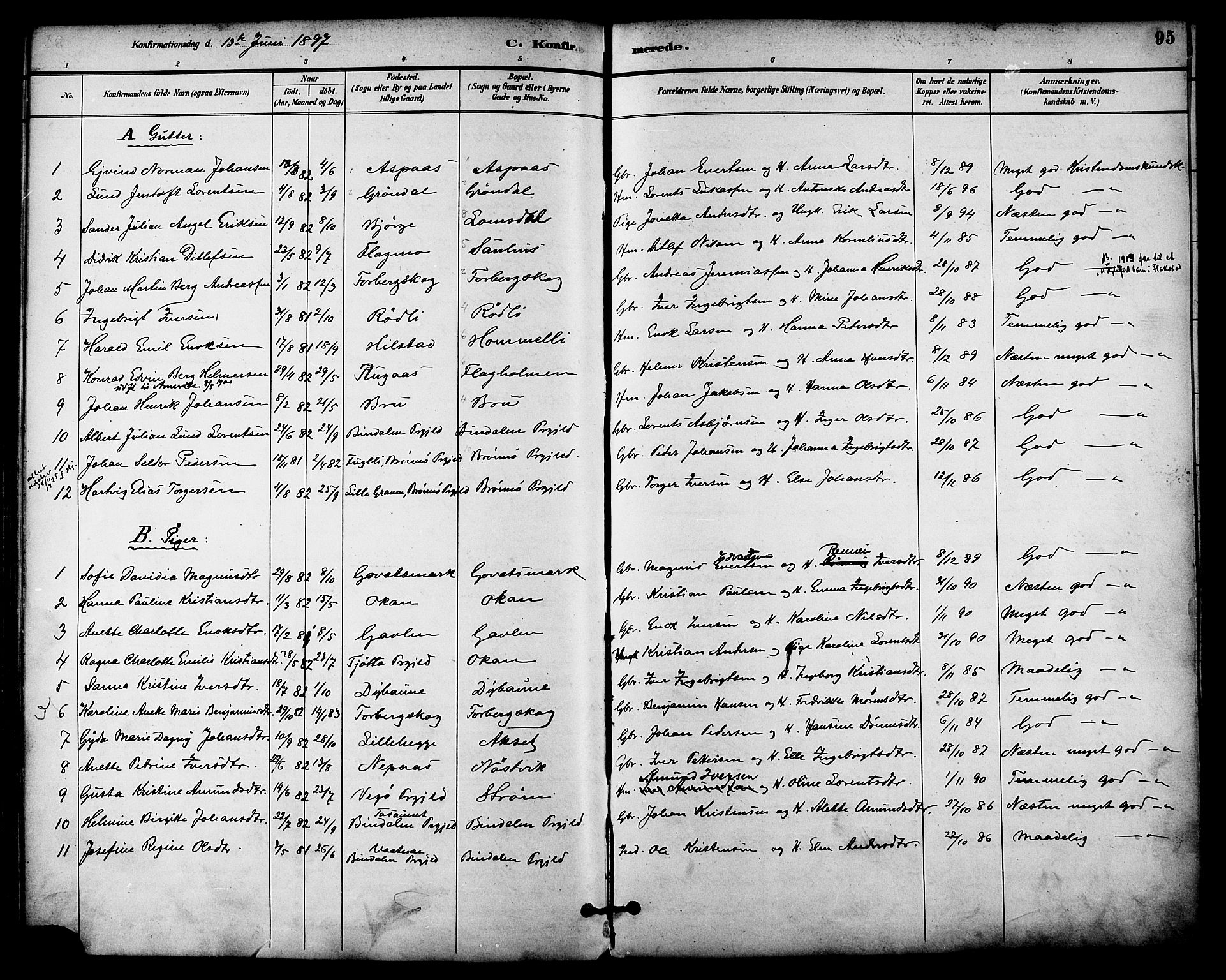 Ministerialprotokoller, klokkerbøker og fødselsregistre - Nordland, AV/SAT-A-1459/814/L0226: Parish register (official) no. 814A07, 1886-1898, p. 95