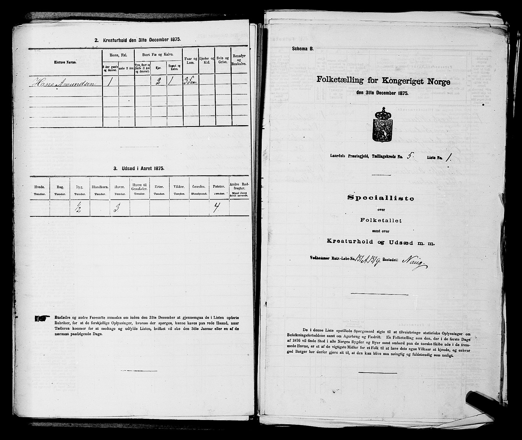 SAKO, 1875 census for 0728P Lardal, 1875, p. 807