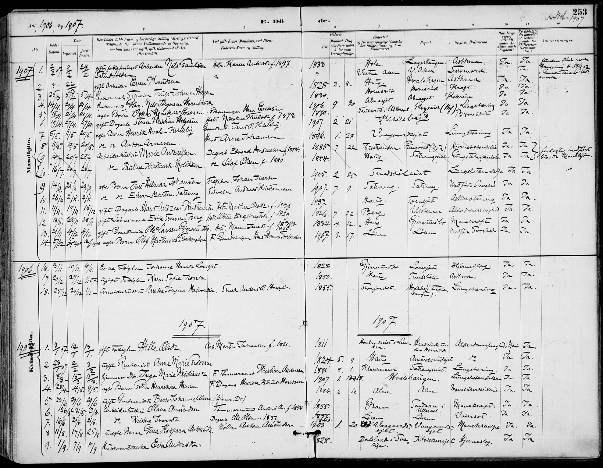 Haug kirkebøker, AV/SAKO-A-604/F/Fa/L0001: Parish register (official) no. 1, 1885-1917, p. 253