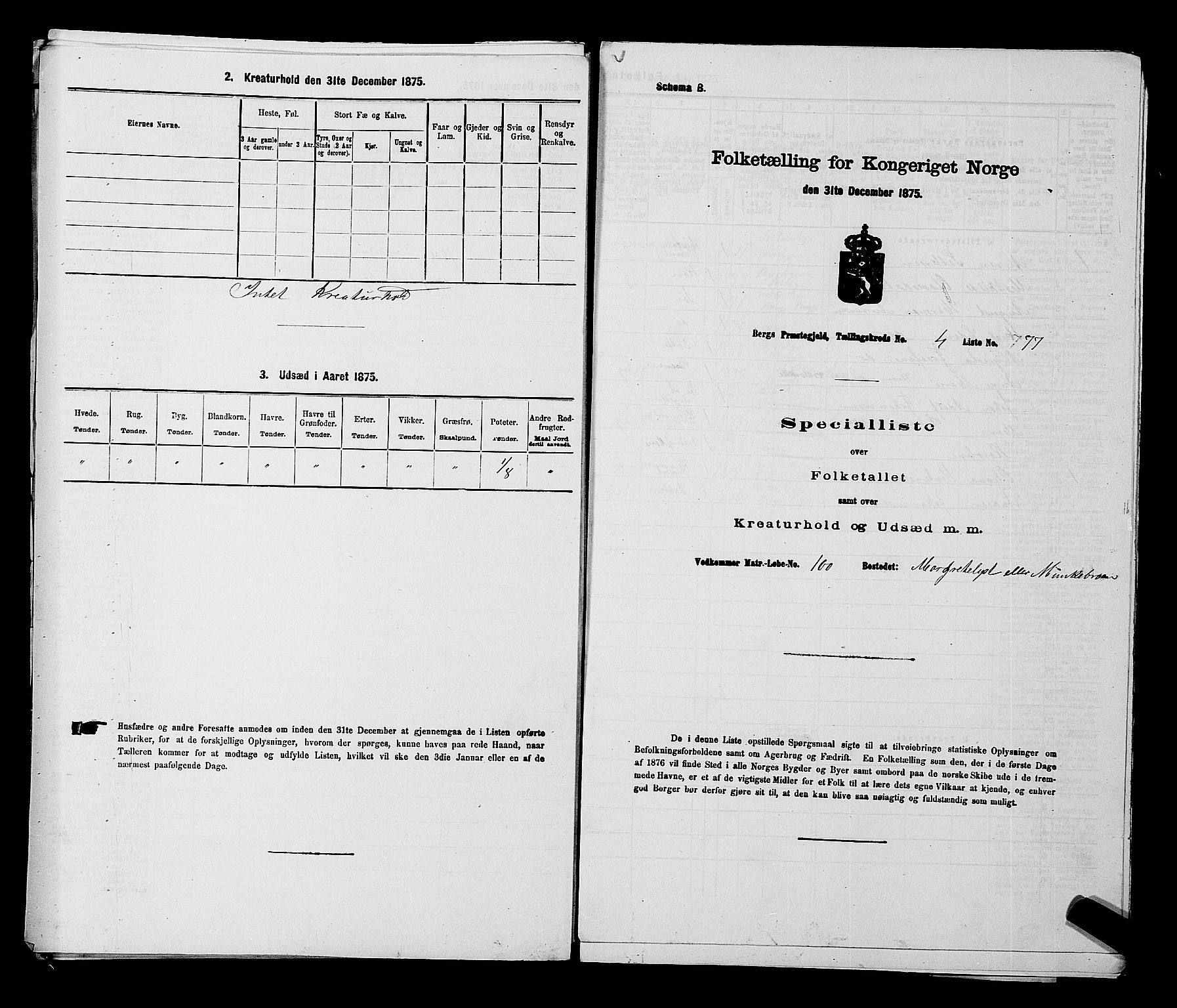 RA, 1875 census for 0116P Berg, 1875, p. 665