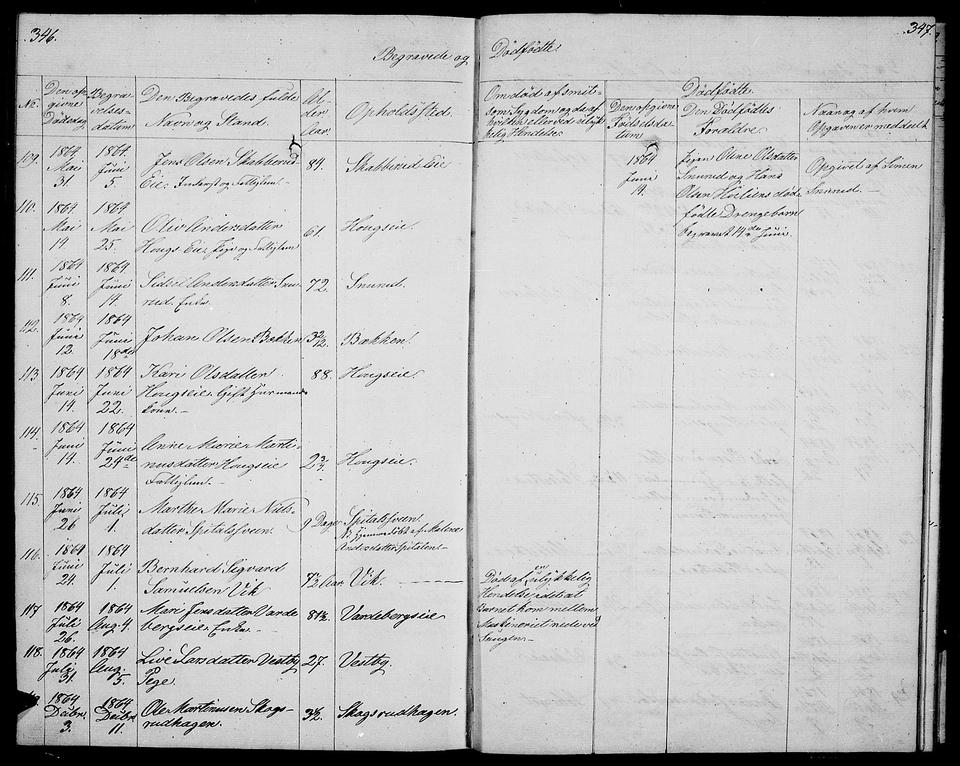 Stange prestekontor, AV/SAH-PREST-002/L/L0004: Parish register (copy) no. 4, 1861-1869, p. 346-347