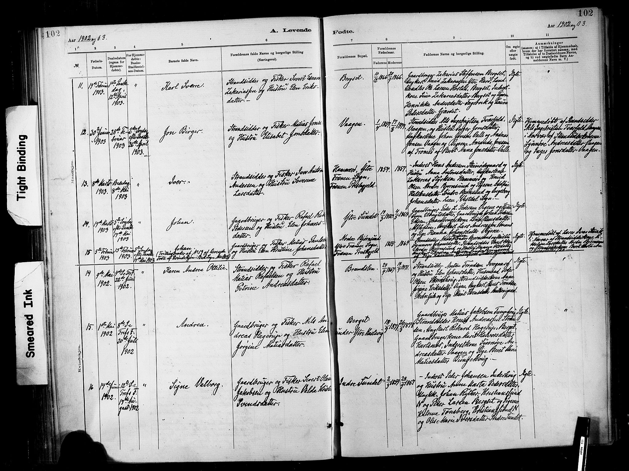 Ministerialprotokoller, klokkerbøker og fødselsregistre - Møre og Romsdal, AV/SAT-A-1454/566/L0769: Parish register (official) no. 566A08, 1881-1903, p. 102