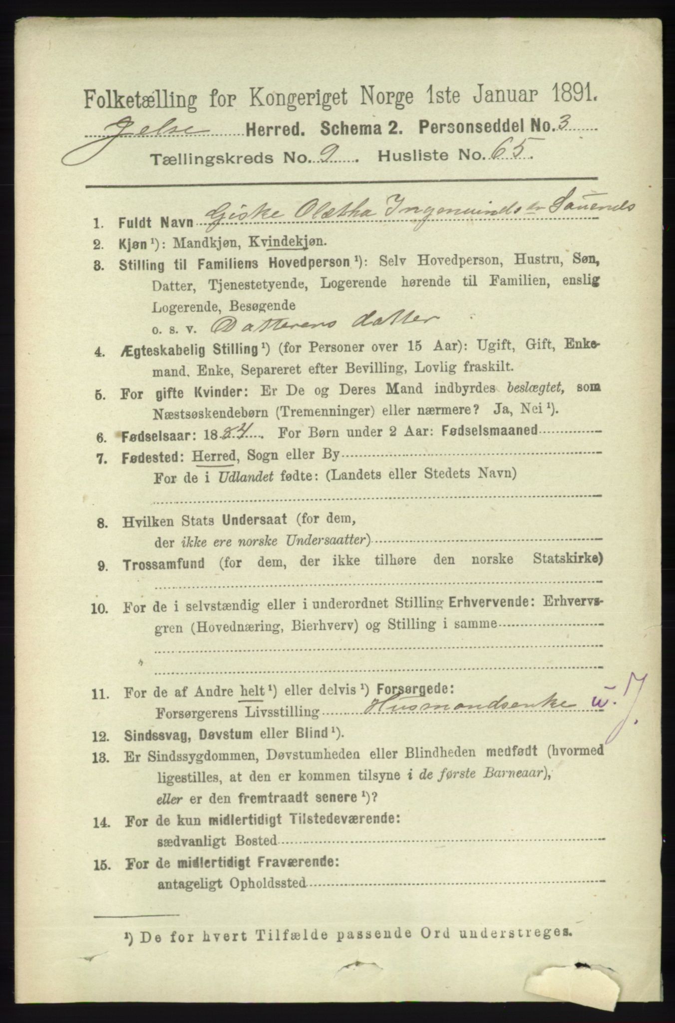 RA, 1891 census for 1138 Jelsa, 1891, p. 2371