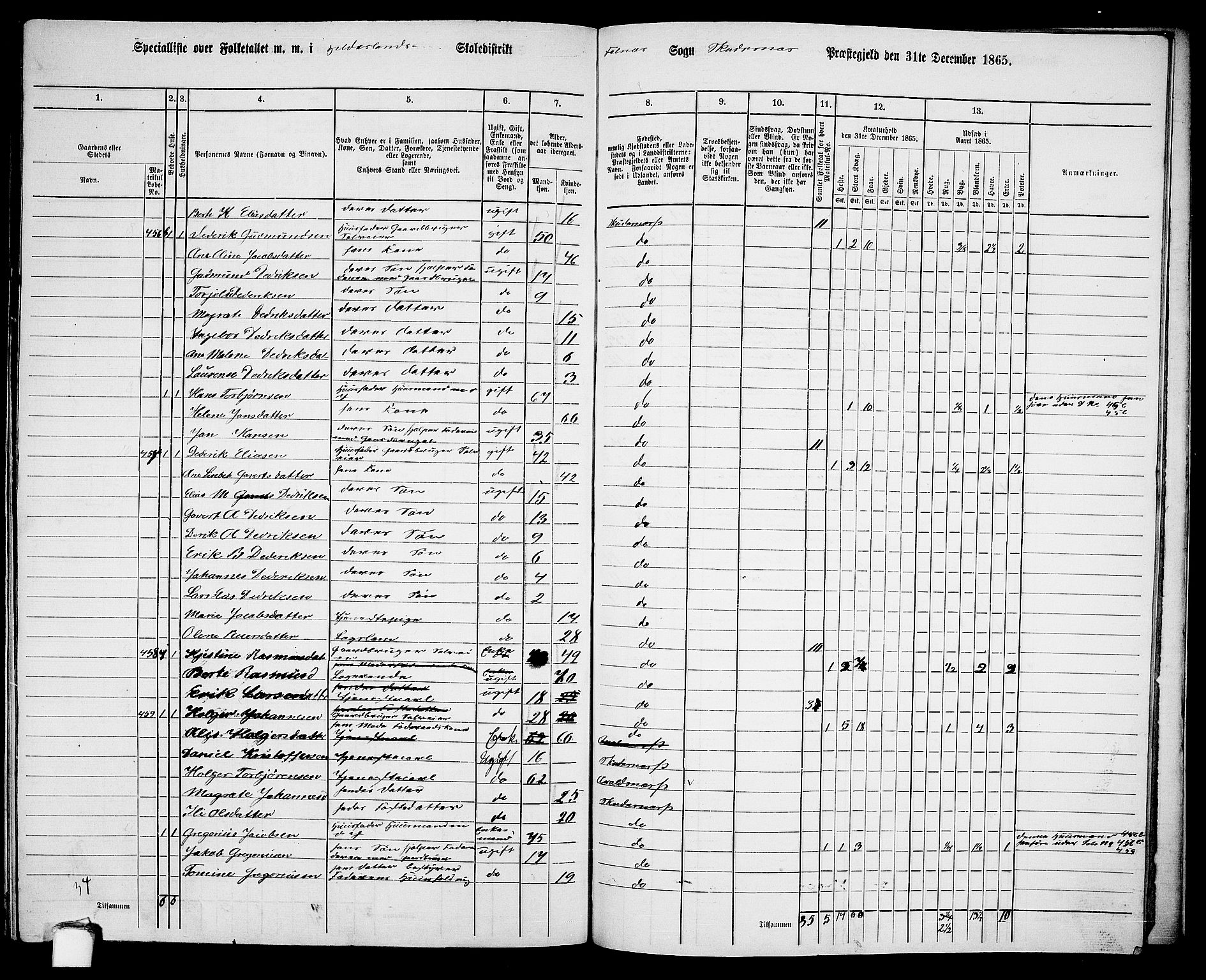 RA, 1865 census for Skudenes, 1865, p. 187