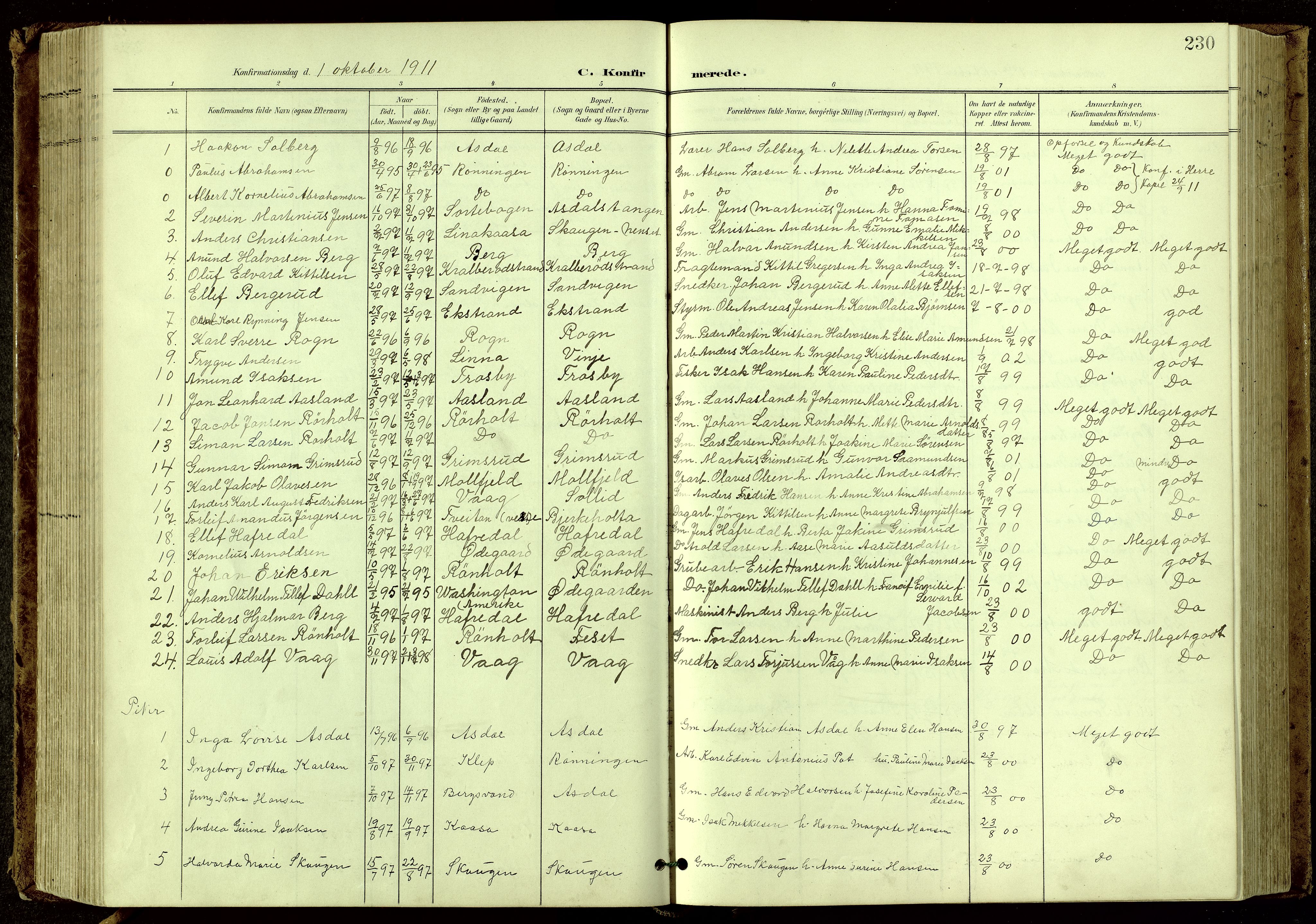 Bamble kirkebøker, SAKO/A-253/G/Ga/L0010: Parish register (copy) no. I 10, 1901-1919, p. 230