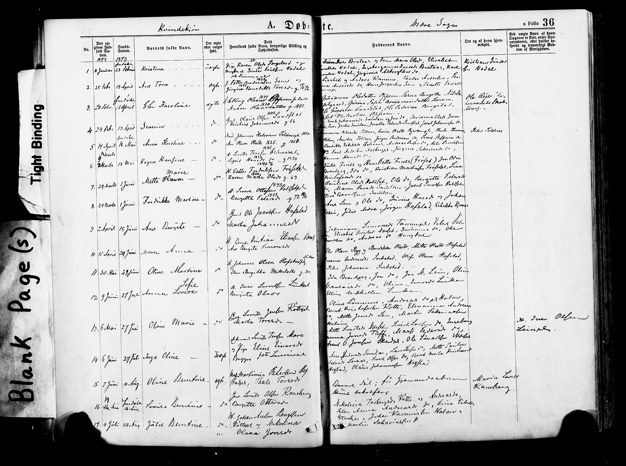 Ministerialprotokoller, klokkerbøker og fødselsregistre - Nord-Trøndelag, SAT/A-1458/735/L0348: Parish register (official) no. 735A09 /1, 1873-1883, p. 36