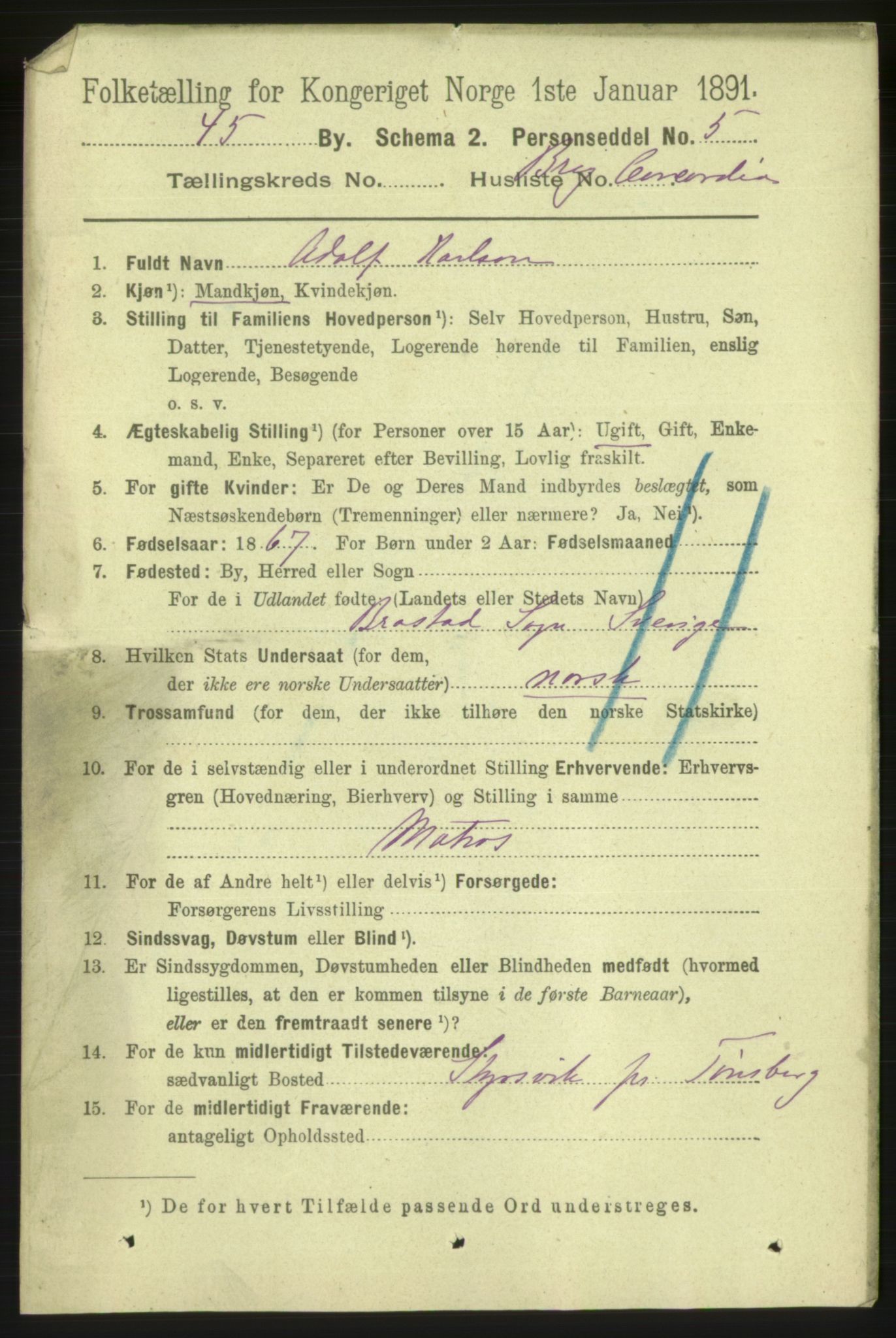 RA, 1891 census for 1105 Kopervik, 1891, p. 878