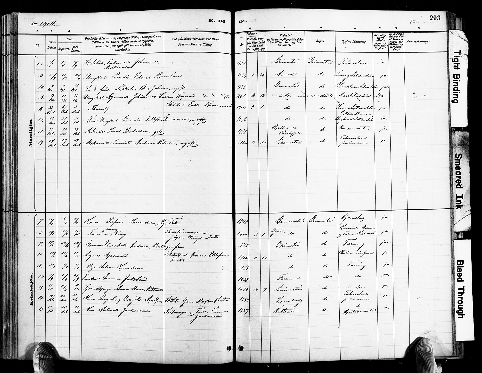 Grimstad sokneprestkontor, AV/SAK-1111-0017/F/Fb/L0001: Parish register (copy) no. B 1, 1881-1922, p. 293