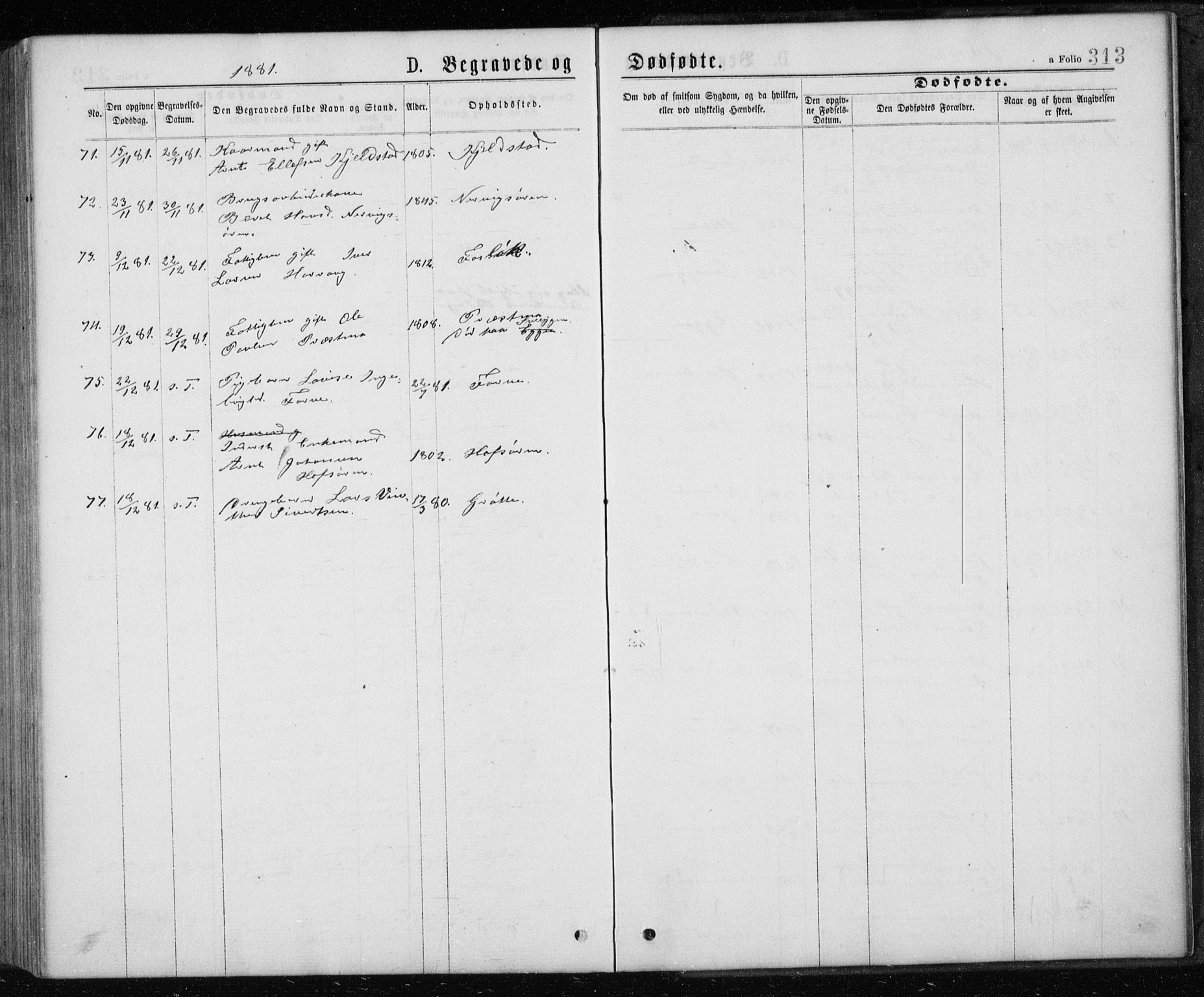 Ministerialprotokoller, klokkerbøker og fødselsregistre - Sør-Trøndelag, SAT/A-1456/668/L0817: Parish register (copy) no. 668C06, 1873-1884, p. 313