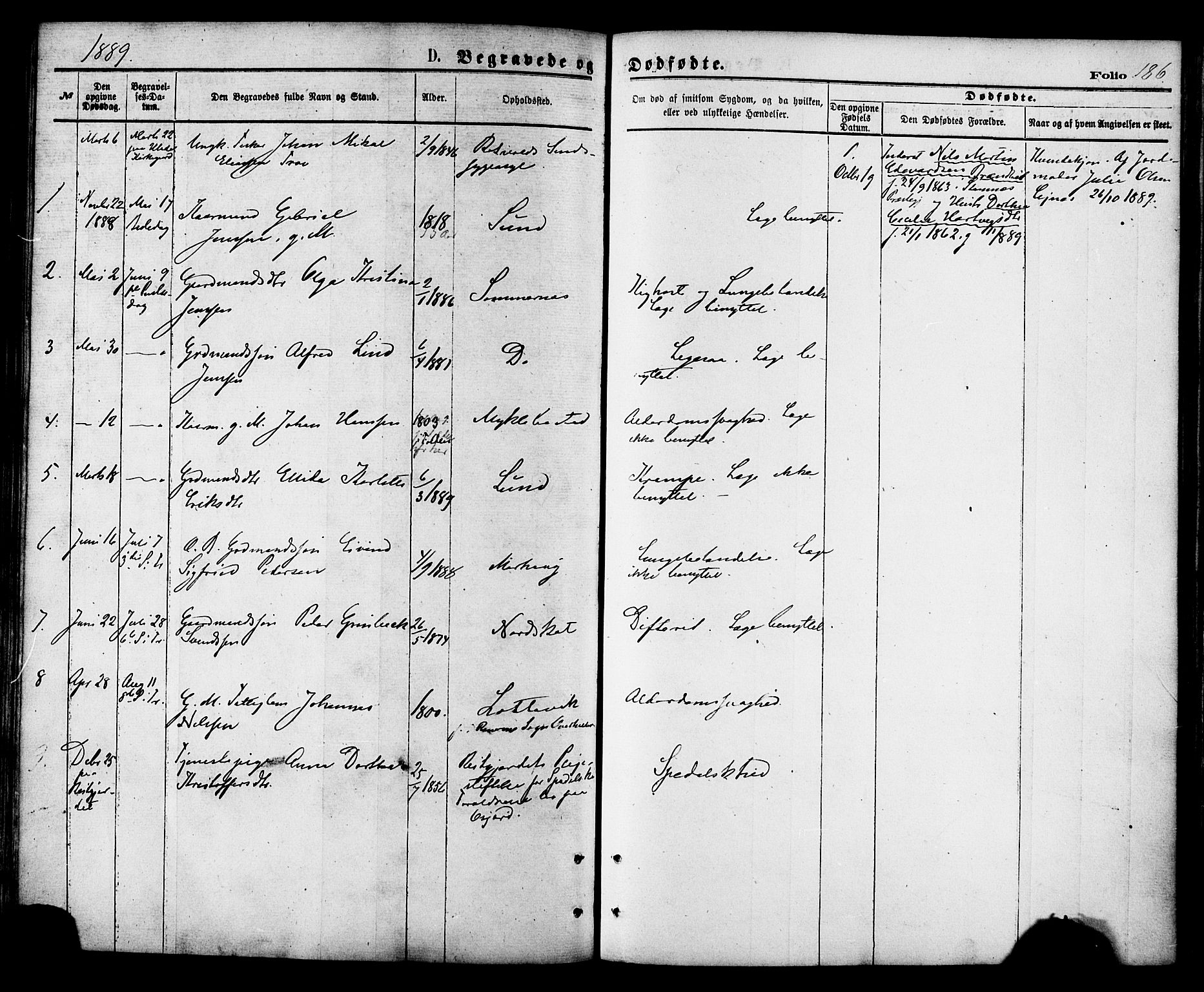 Ministerialprotokoller, klokkerbøker og fødselsregistre - Nordland, AV/SAT-A-1459/857/L0821: Parish register (official) no. 857A01, 1875-1889, p. 186