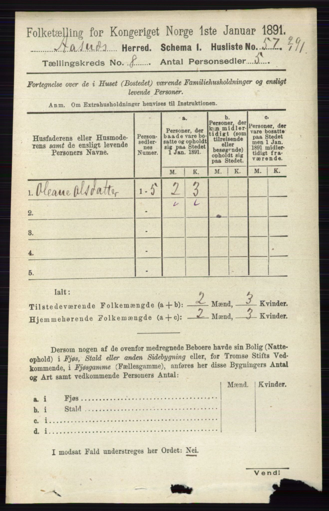 RA, 1891 census for 0425 Åsnes, 1891, p. 4178