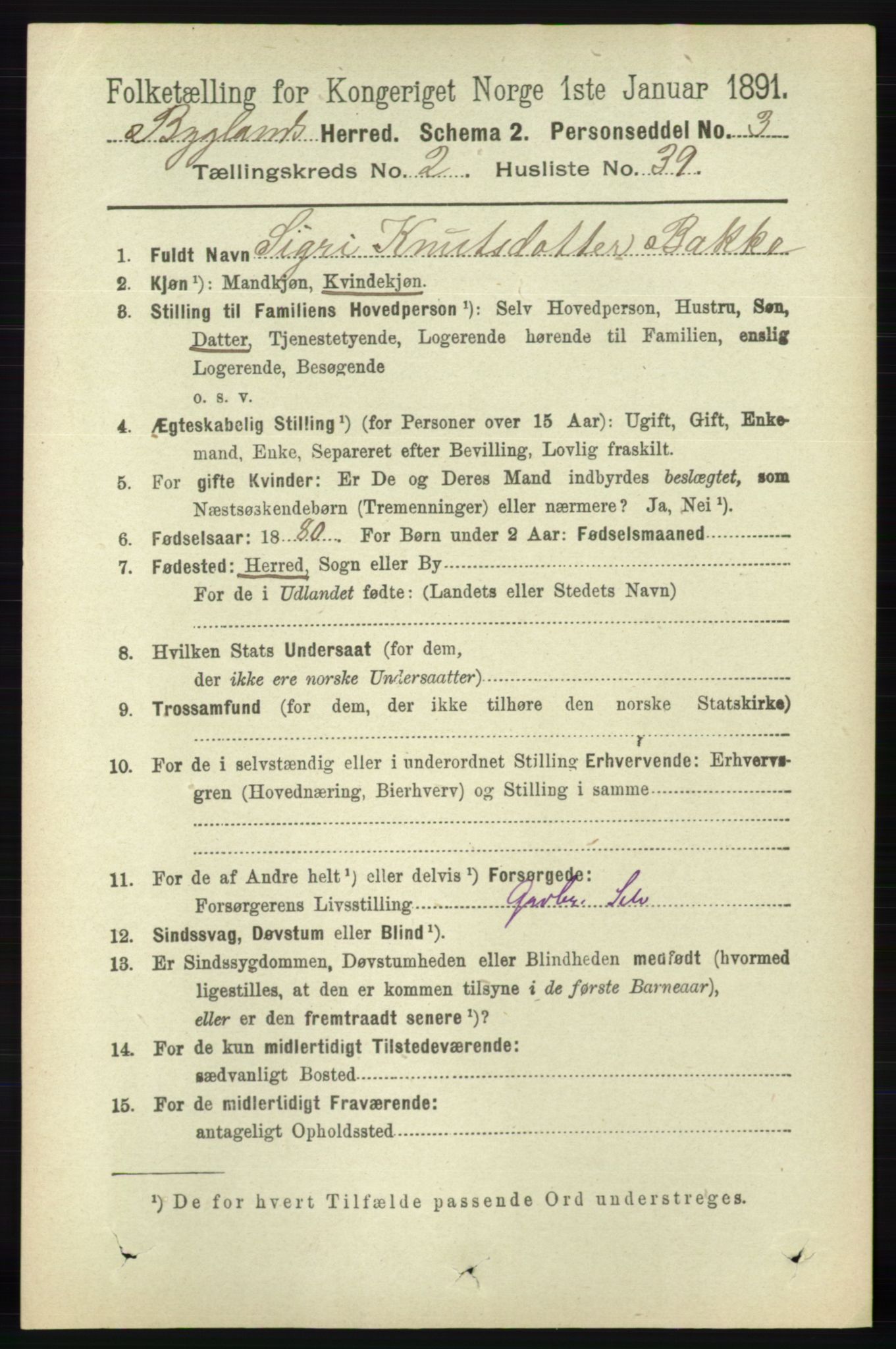 RA, 1891 census for 0938 Bygland, 1891, p. 517