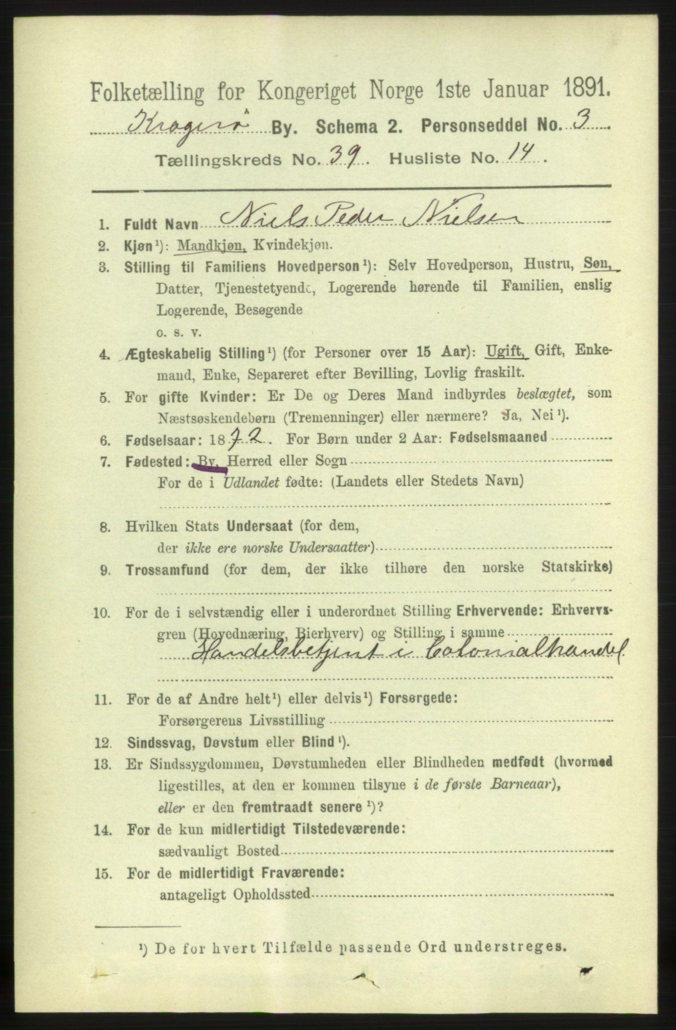 RA, 1891 census for 0801 Kragerø, 1891, p. 7396