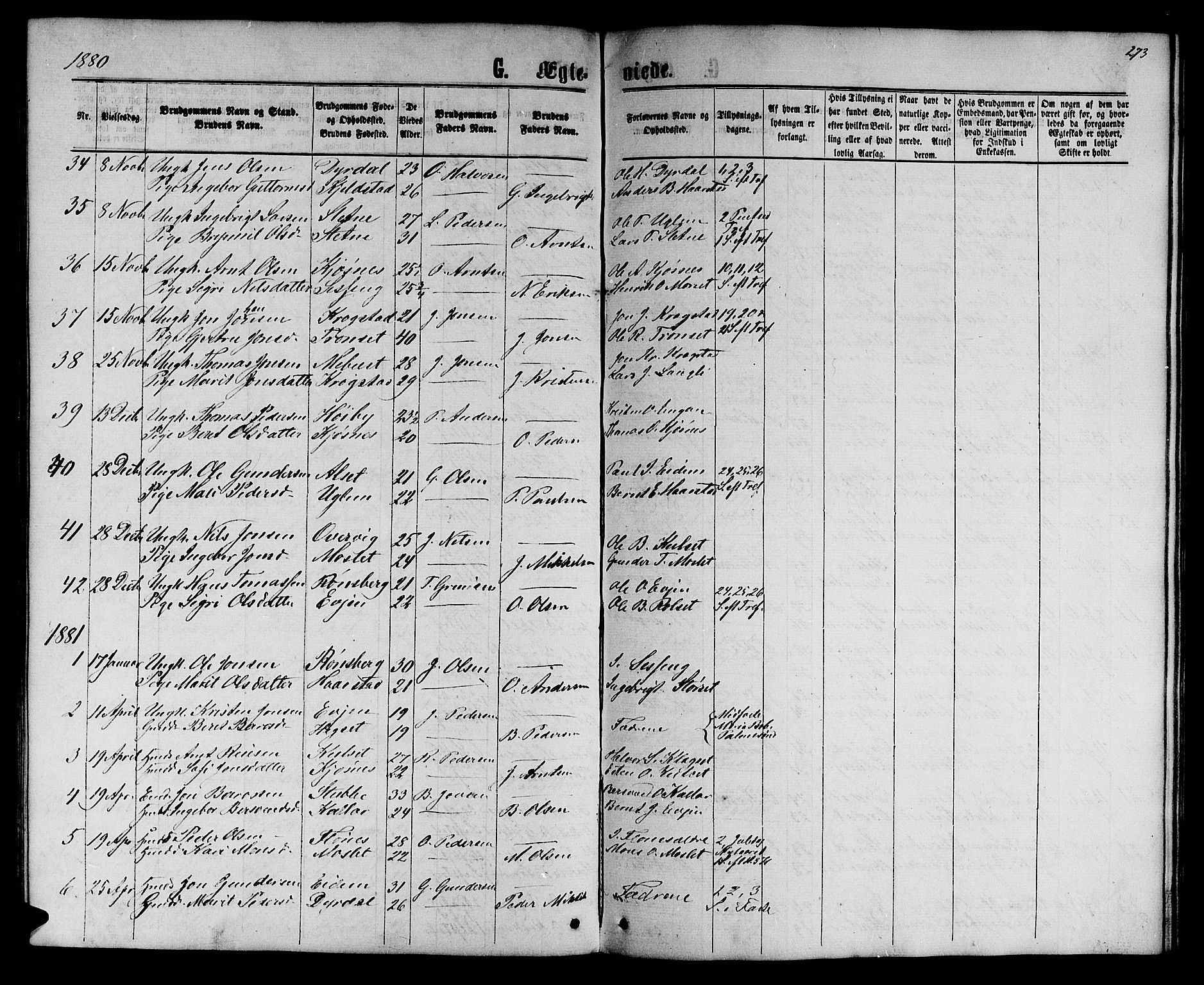 Ministerialprotokoller, klokkerbøker og fødselsregistre - Sør-Trøndelag, SAT/A-1456/695/L1156: Parish register (copy) no. 695C07, 1869-1888, p. 273
