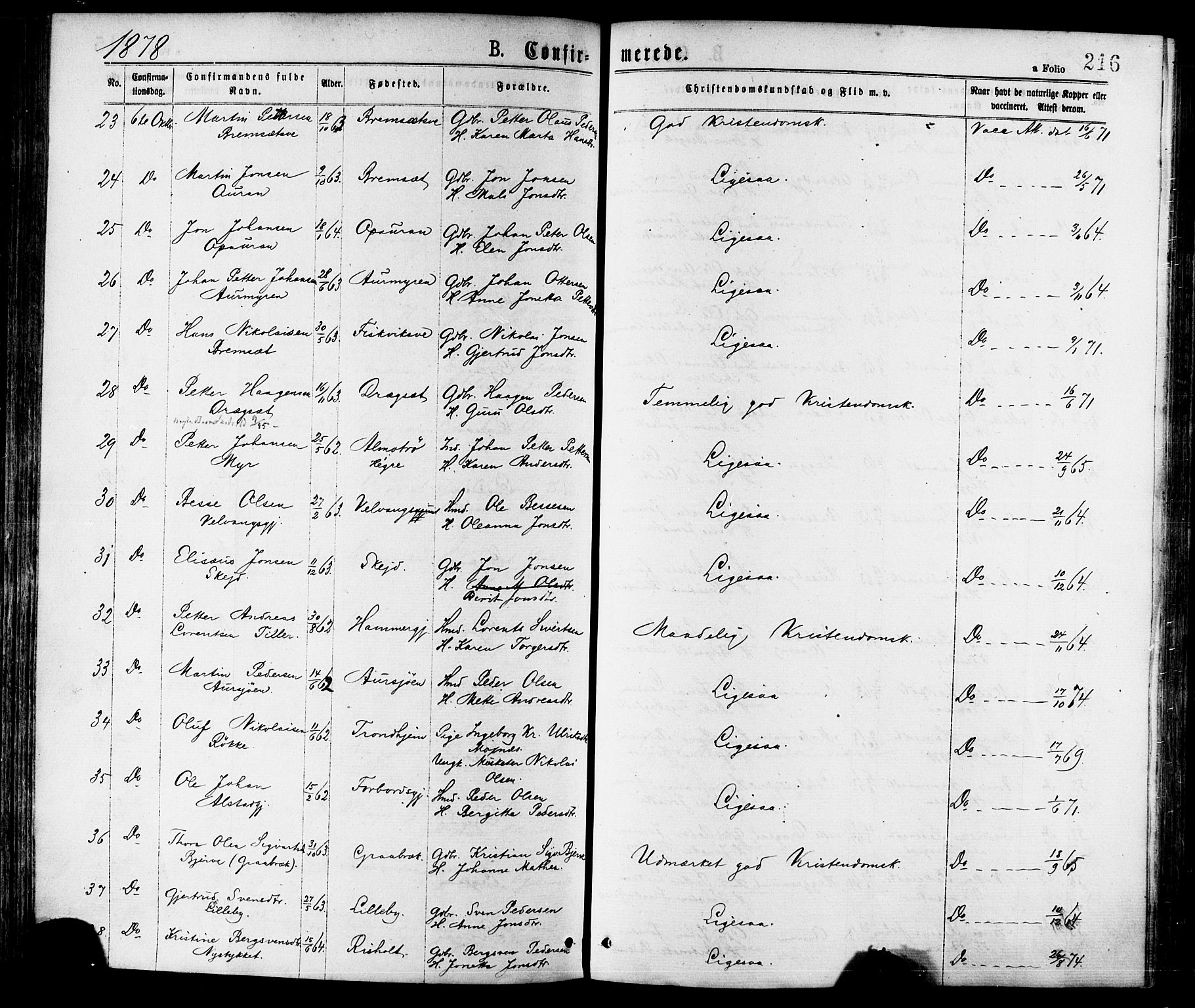 Ministerialprotokoller, klokkerbøker og fødselsregistre - Nord-Trøndelag, AV/SAT-A-1458/709/L0076: Parish register (official) no. 709A16, 1871-1879, p. 216