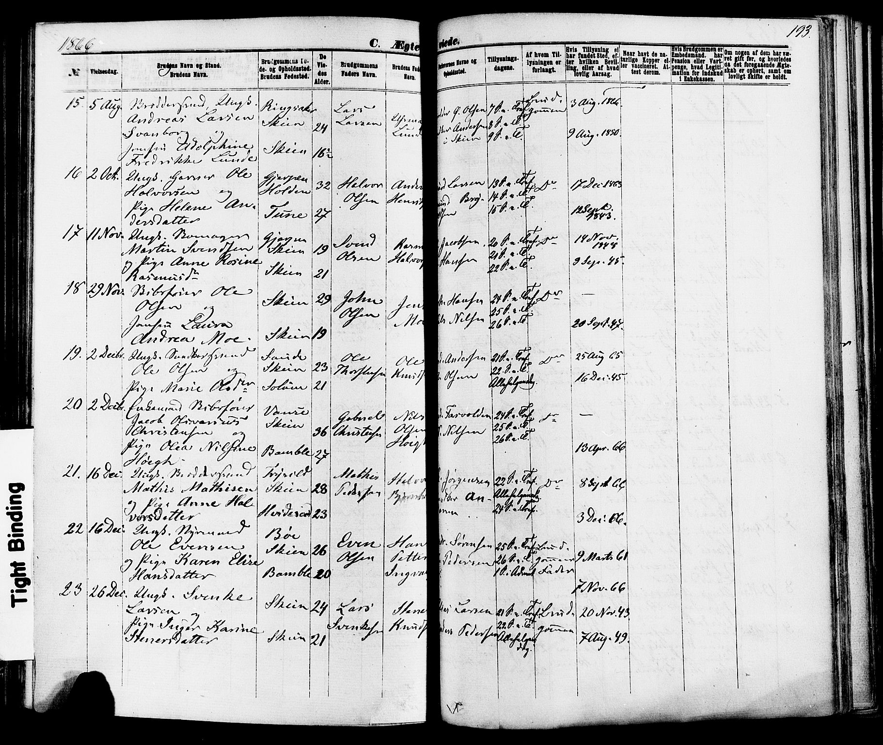Skien kirkebøker, SAKO/A-302/F/Fa/L0008: Parish register (official) no. 8, 1866-1877, p. 193