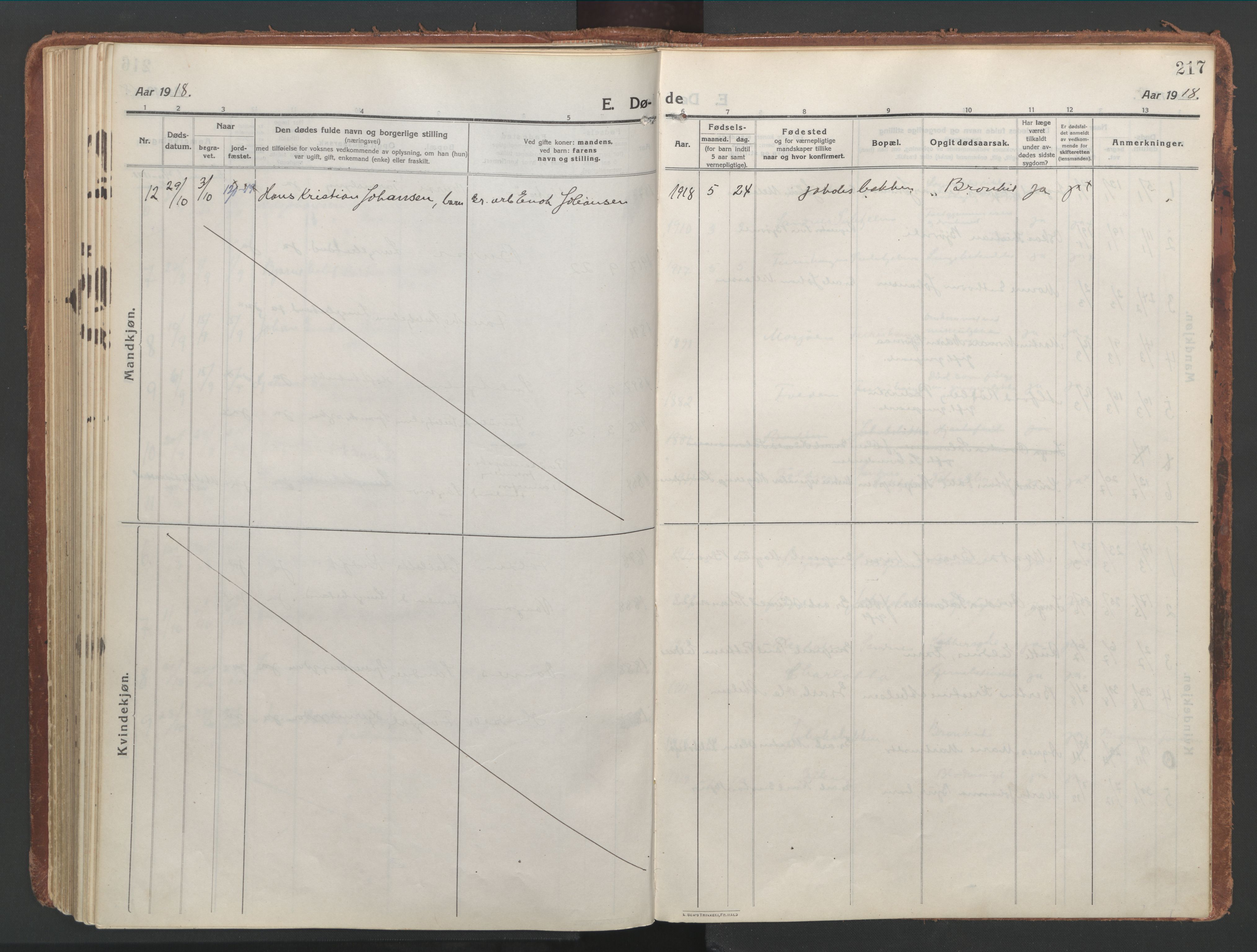 Ministerialprotokoller, klokkerbøker og fødselsregistre - Nordland, AV/SAT-A-1459/850/L0715: Curate's parish register no. 850B05, 1913-1924, p. 217