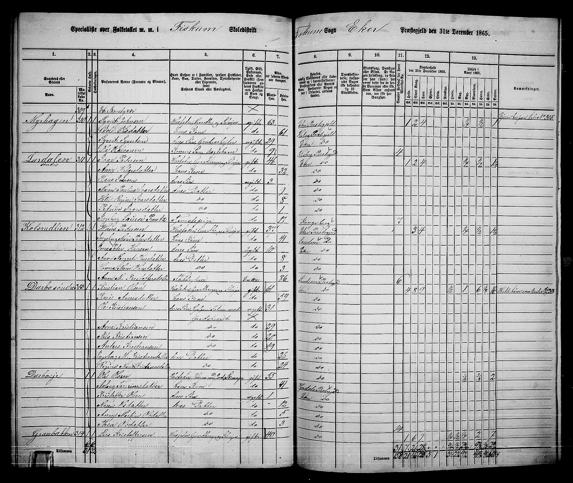 RA, 1865 census for Eiker, 1865, p. 520