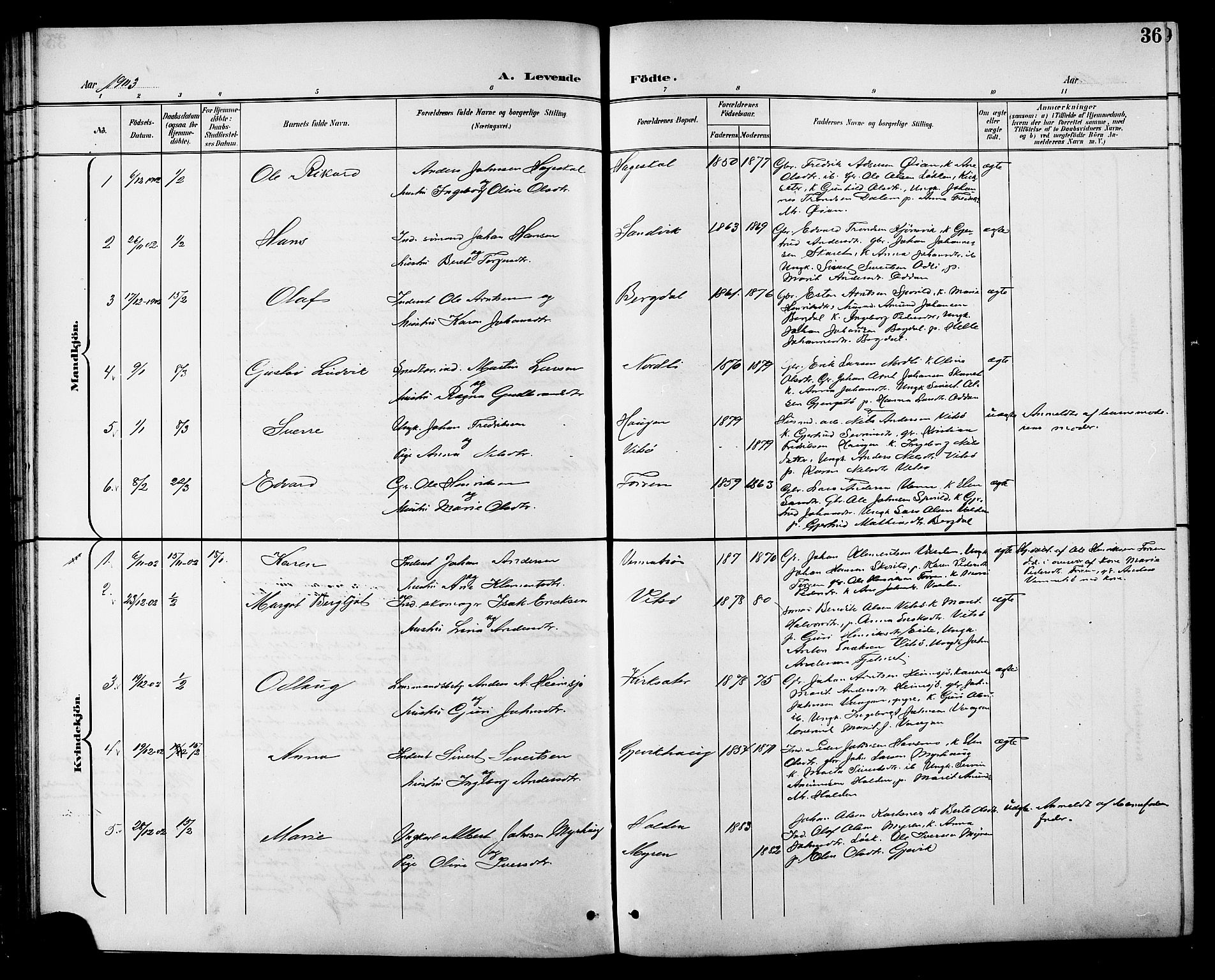 Ministerialprotokoller, klokkerbøker og fødselsregistre - Sør-Trøndelag, SAT/A-1456/630/L0505: Parish register (copy) no. 630C03, 1899-1914, p. 36