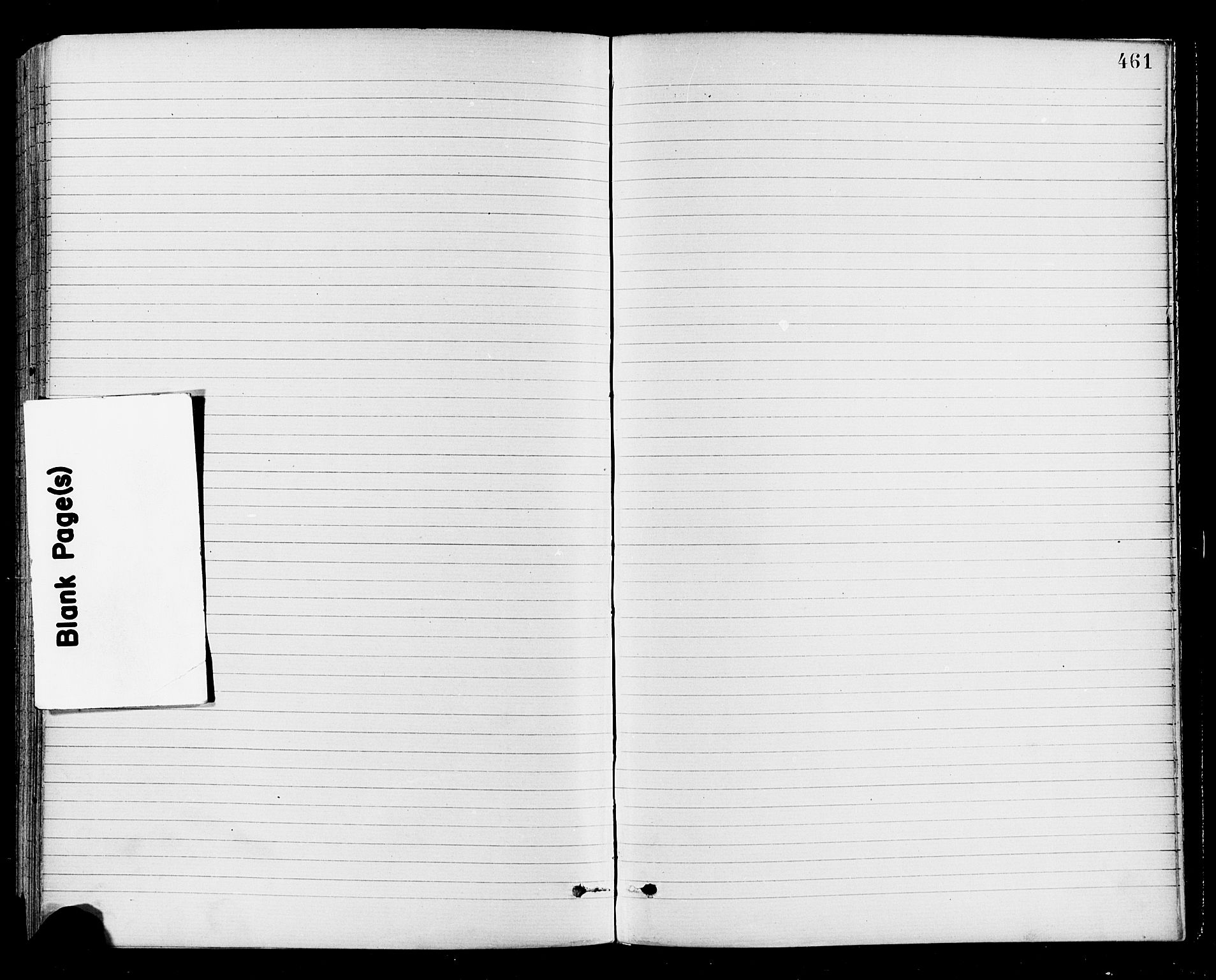 Jevnaker prestekontor, AV/SAH-PREST-116/H/Ha/Haa/L0008: Parish register (official) no. 8, 1877-1890, p. 461