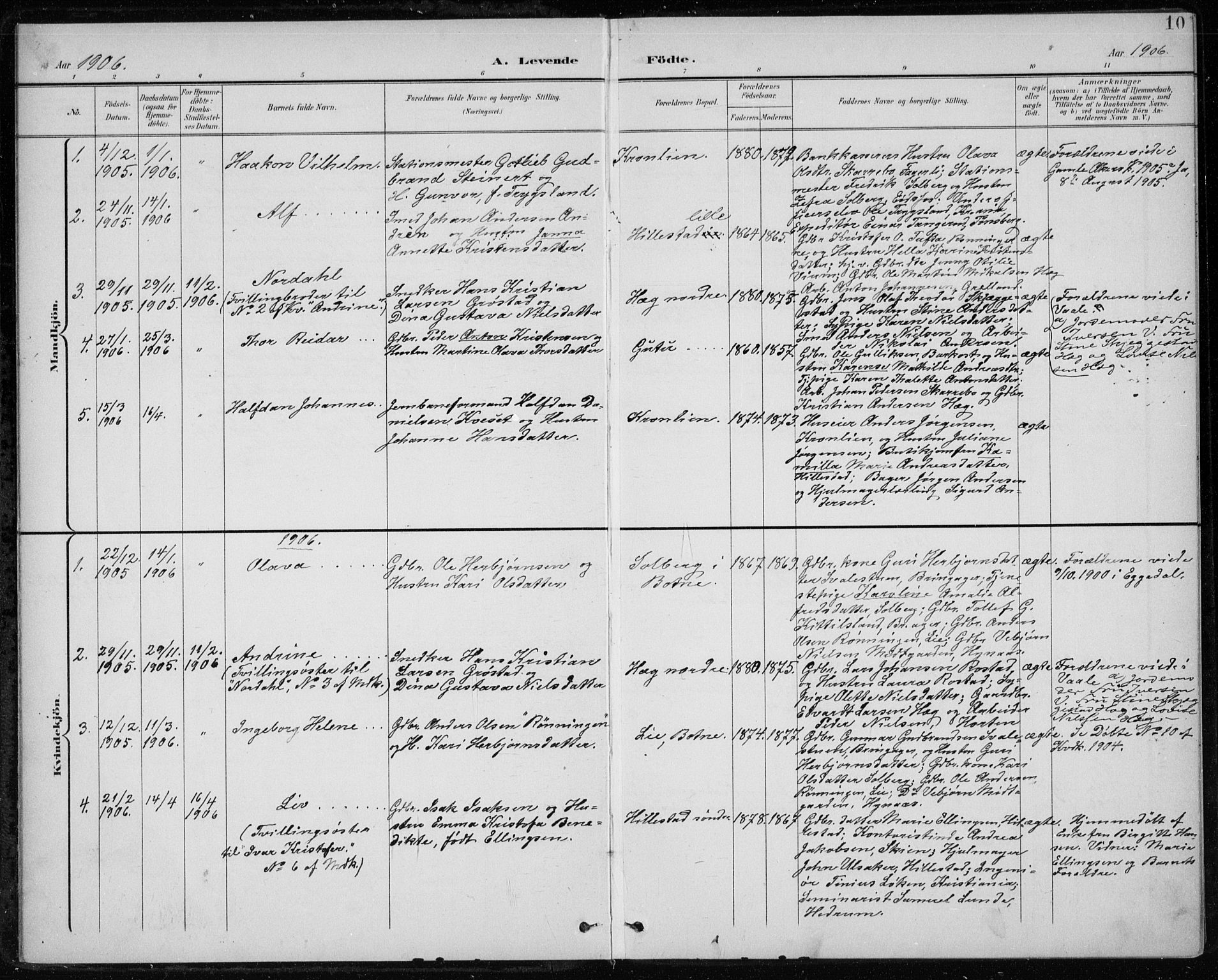 Botne kirkebøker, SAKO/A-340/F/Fb/L0002: Parish register (official) no. II 2, 1902-1915, p. 10