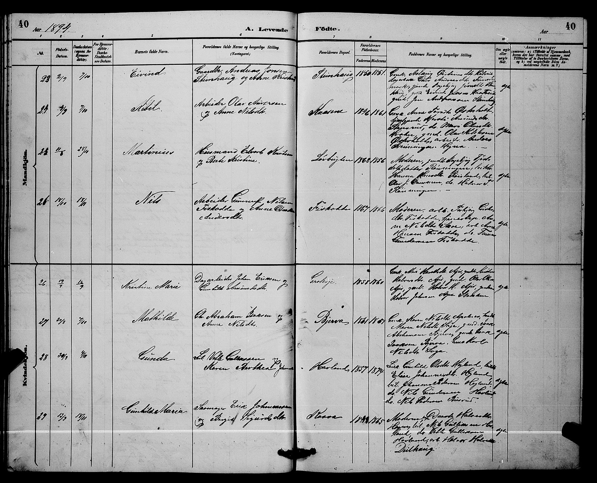 Lunde kirkebøker, SAKO/A-282/G/Ga/L0002: Parish register (copy) no. I 2, 1887-1896, p. 40