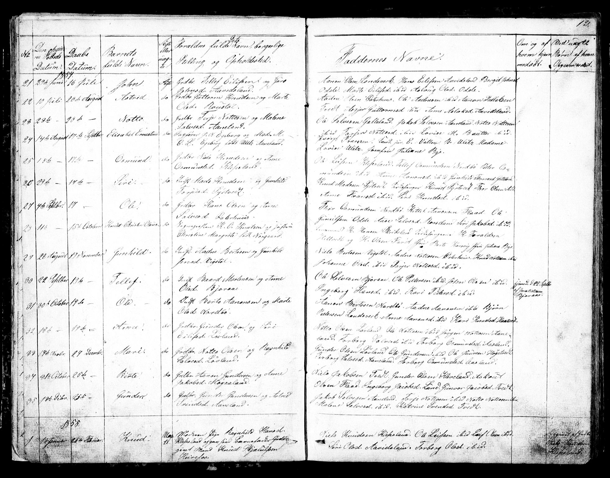 Evje sokneprestkontor, AV/SAK-1111-0008/F/Fb/Fba/L0002: Parish register (copy) no. B 2, 1849-1896, p. 13