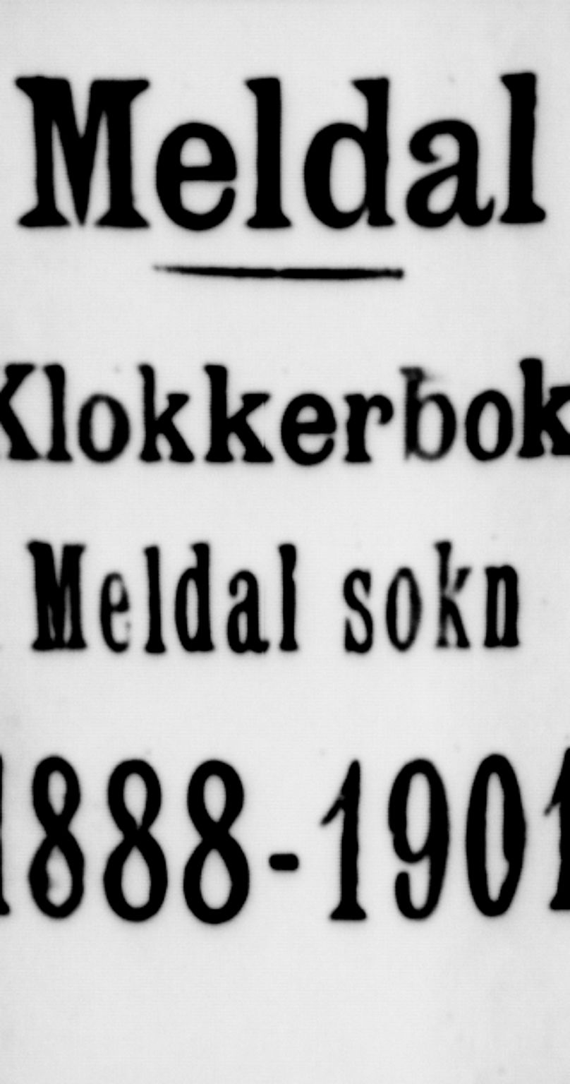 Ministerialprotokoller, klokkerbøker og fødselsregistre - Sør-Trøndelag, SAT/A-1456/672/L0863: Parish register (copy) no. 672C02, 1888-1901